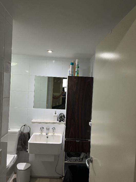 Bathroom vanity before renovation at Ann Street, Foritude Valley