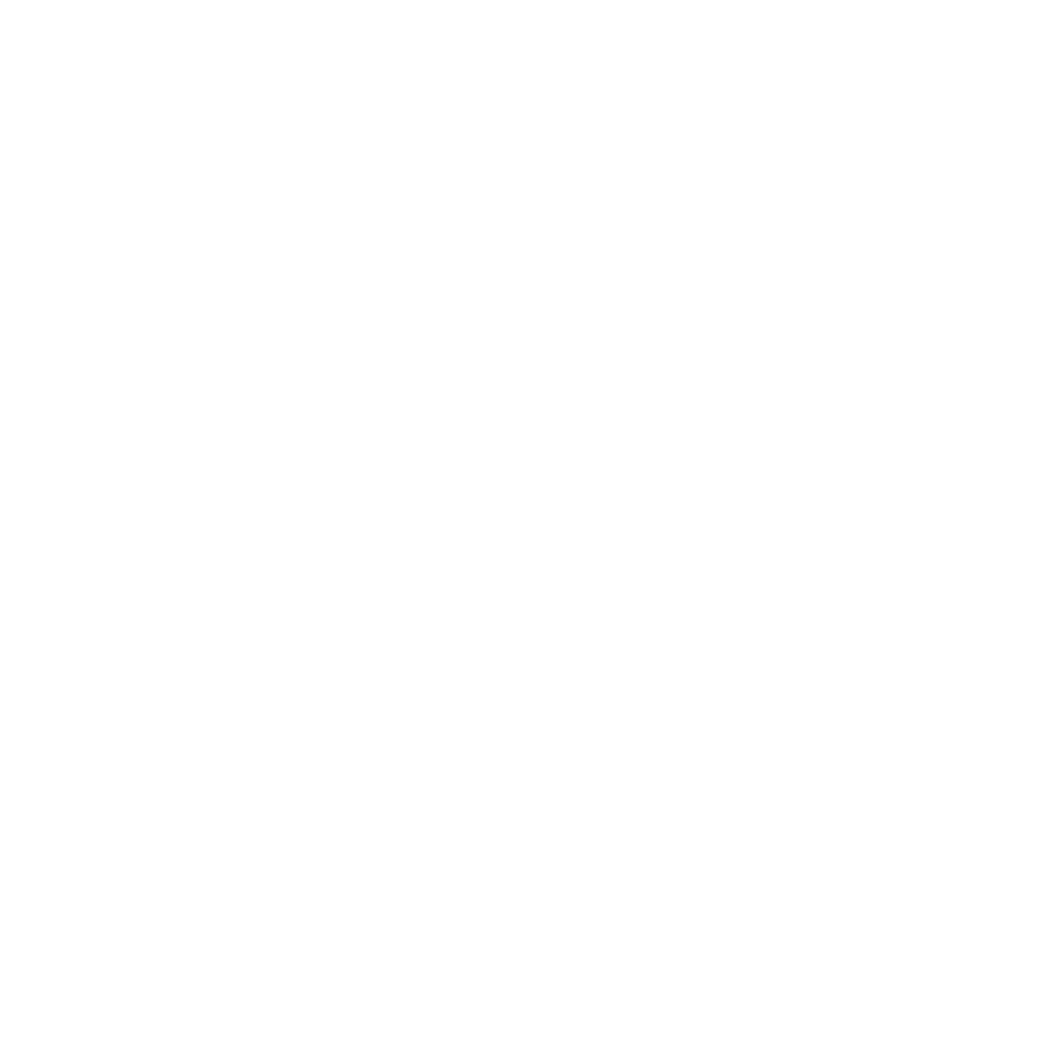 RIISE Group