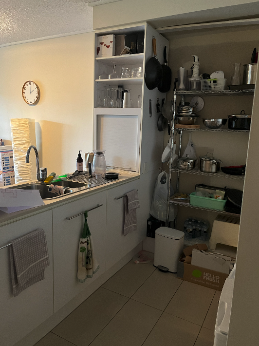 Kitchen counters and pantry before renovation at Ann Street, Foritude Valley