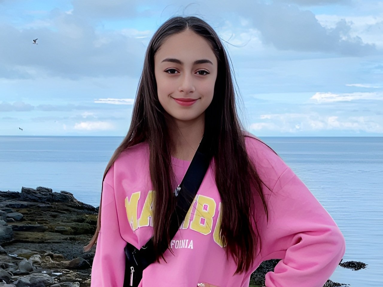 Ani Sophia Nishanian (VA)