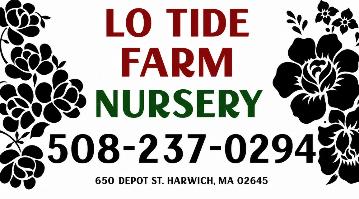 Lo Tide Farm Business Card / Logo E-Gift Card