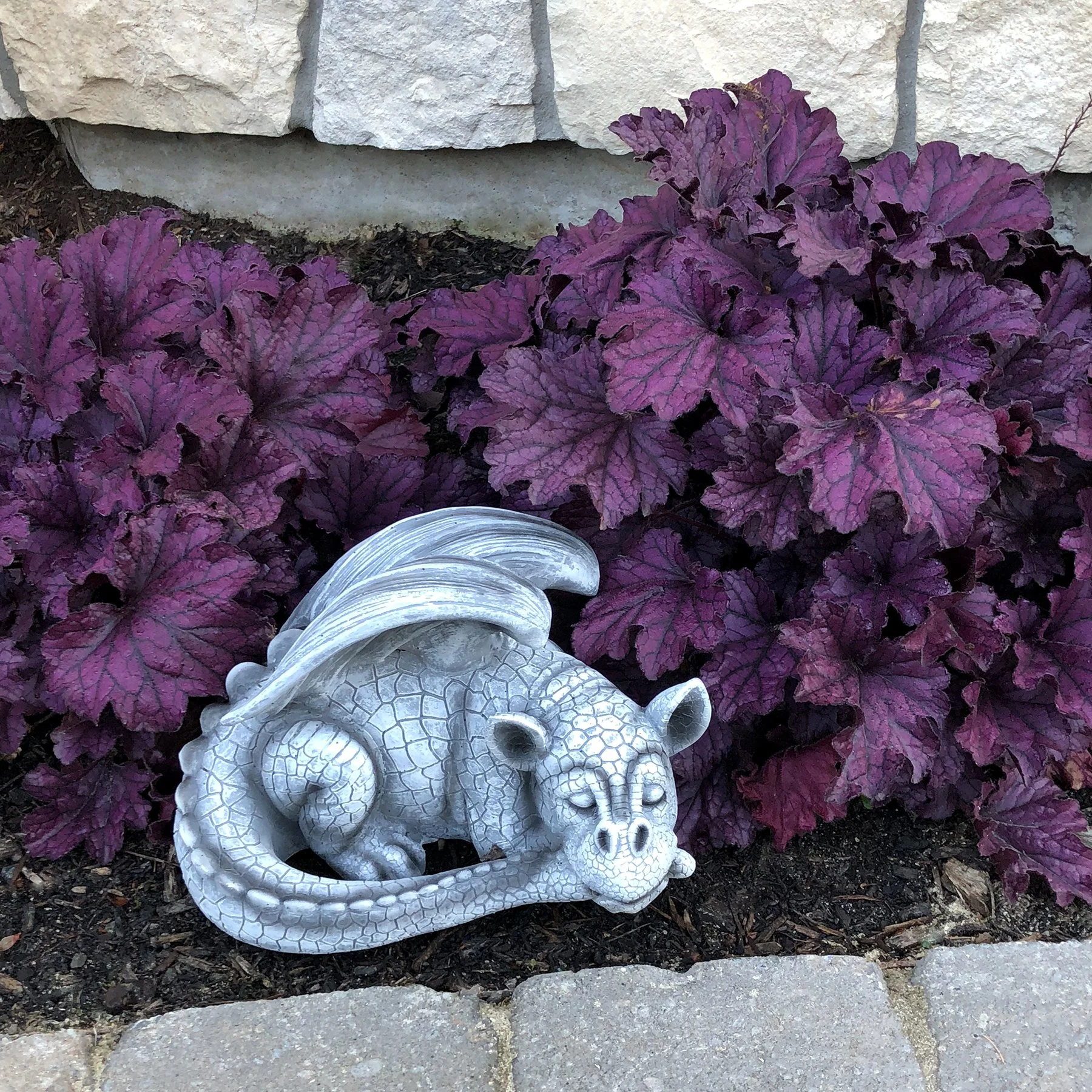 Heuchera-Forever-Purple-11.jpg