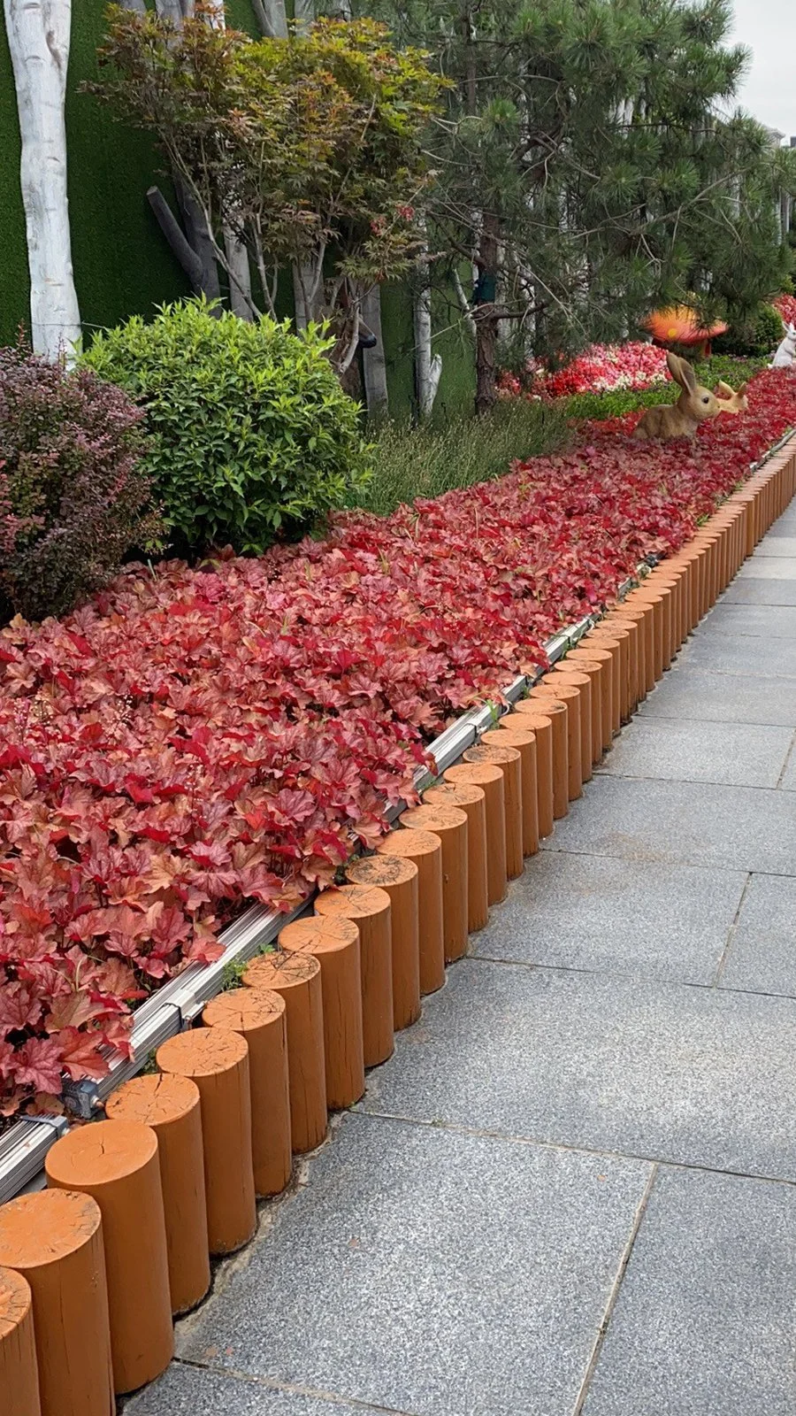 Heuchera-Forever-Red-19.jpg