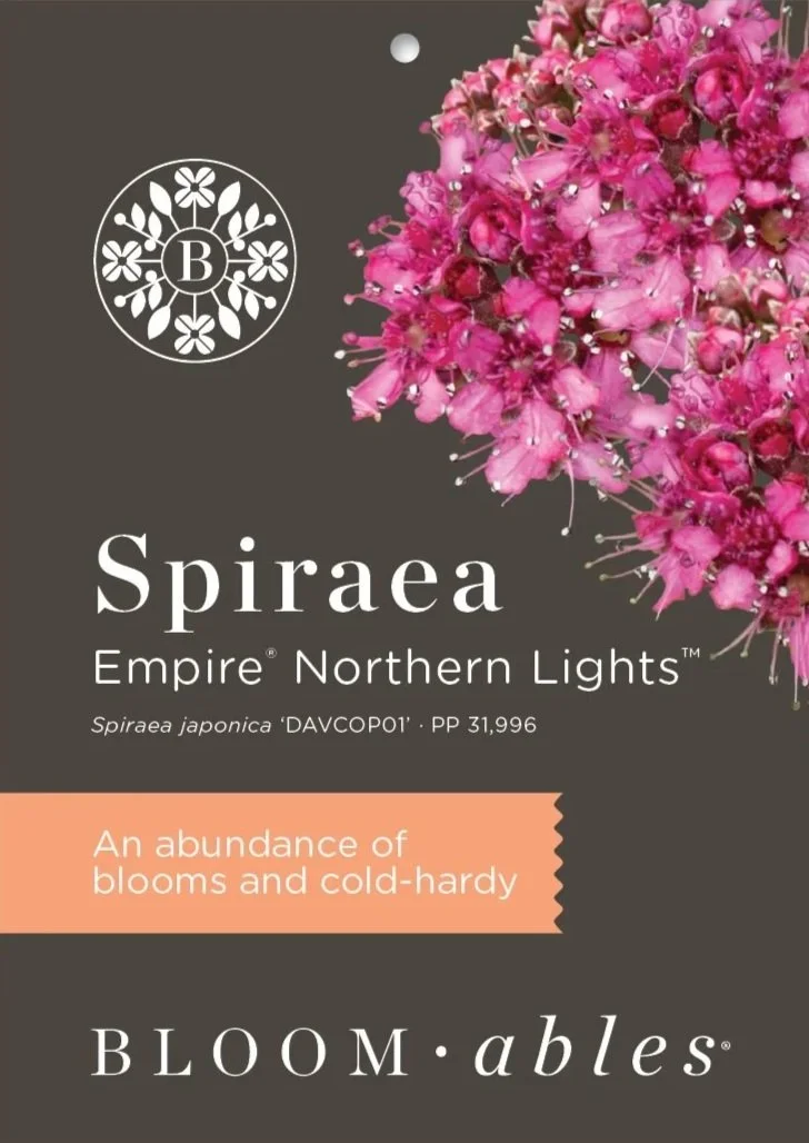EmpireNorthernLightsSpirea_Tag.jpg