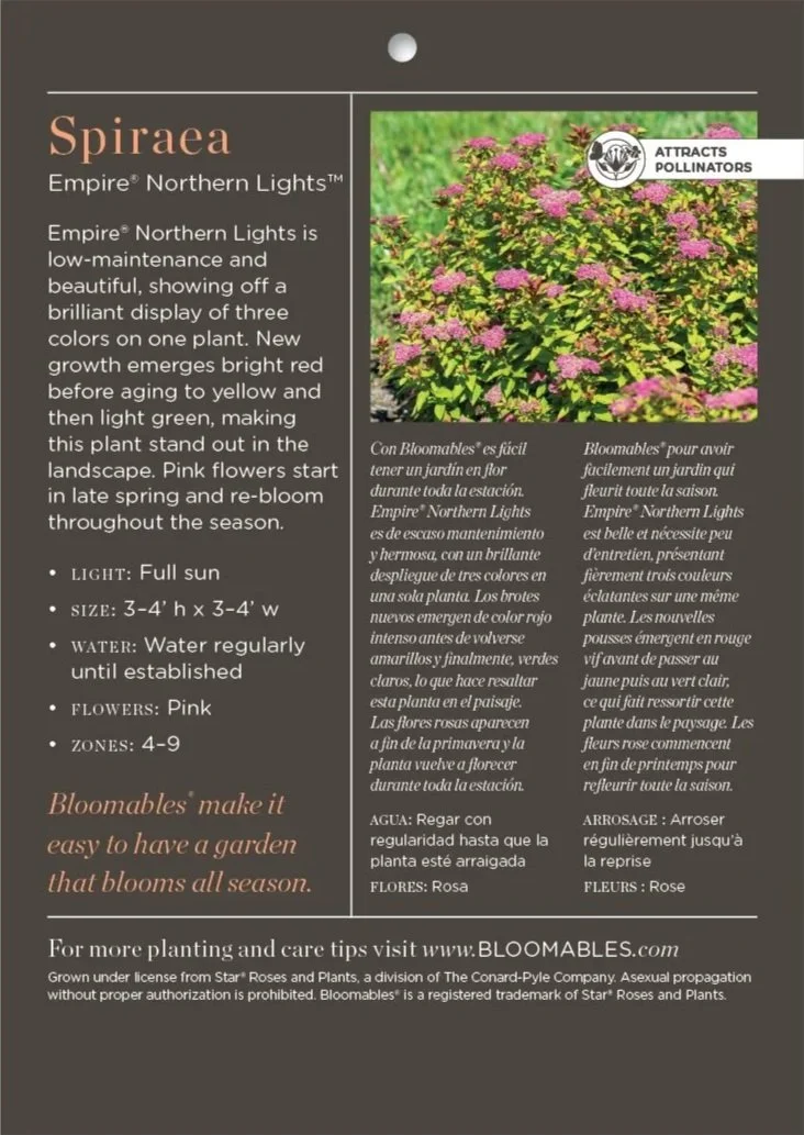 EmpireNorthernLightsSpirea_Tag.jpg