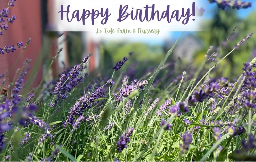 Happy Birthday E-Gift Card