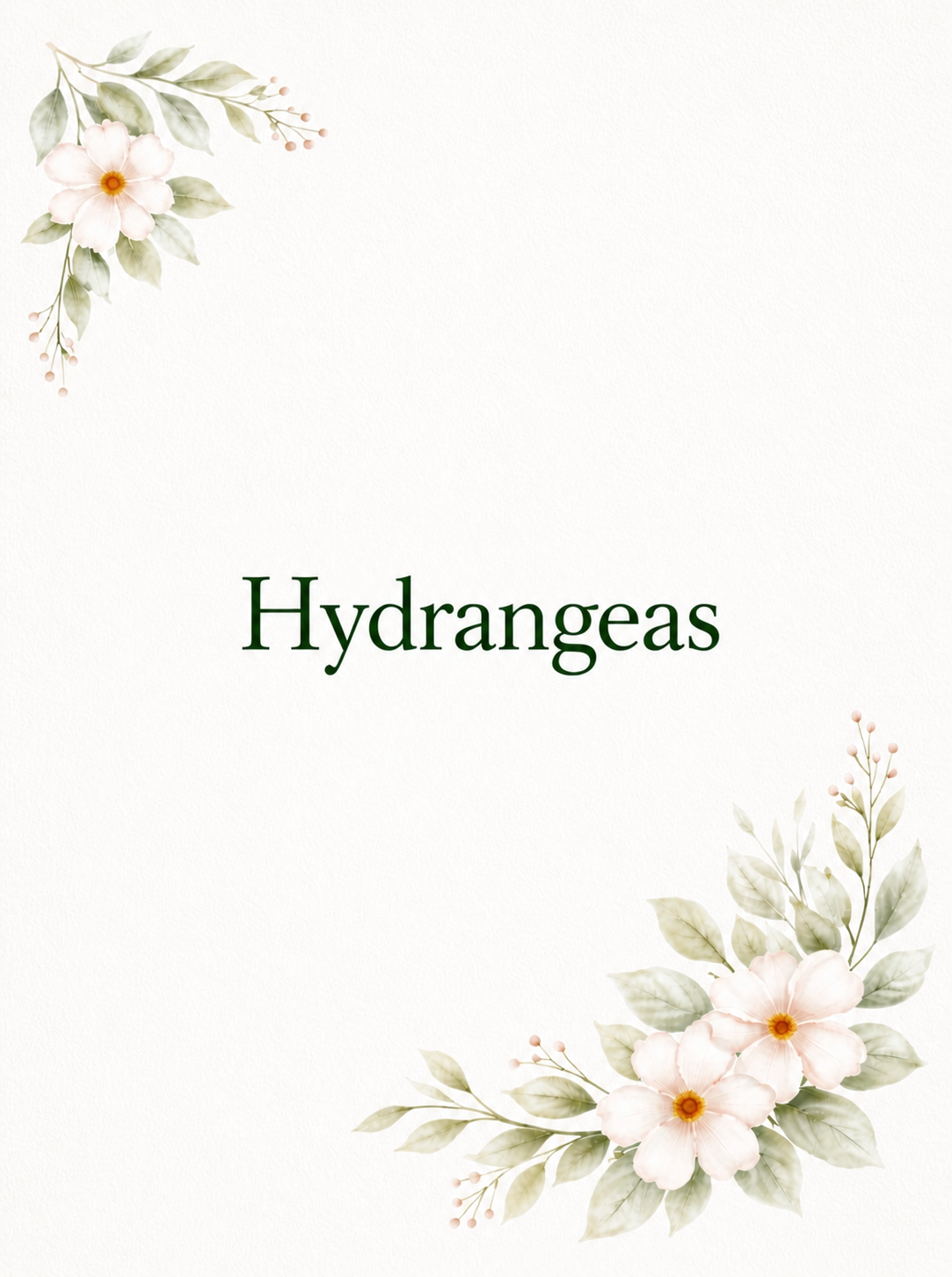 Hydrangeas