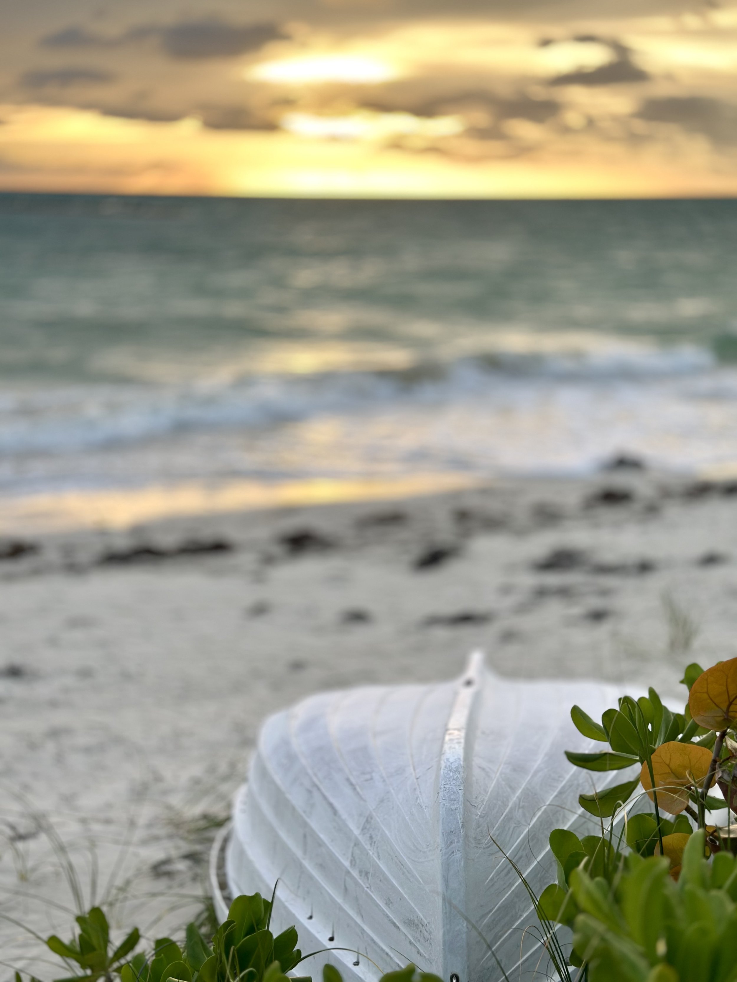 Andros Island, Bahamas