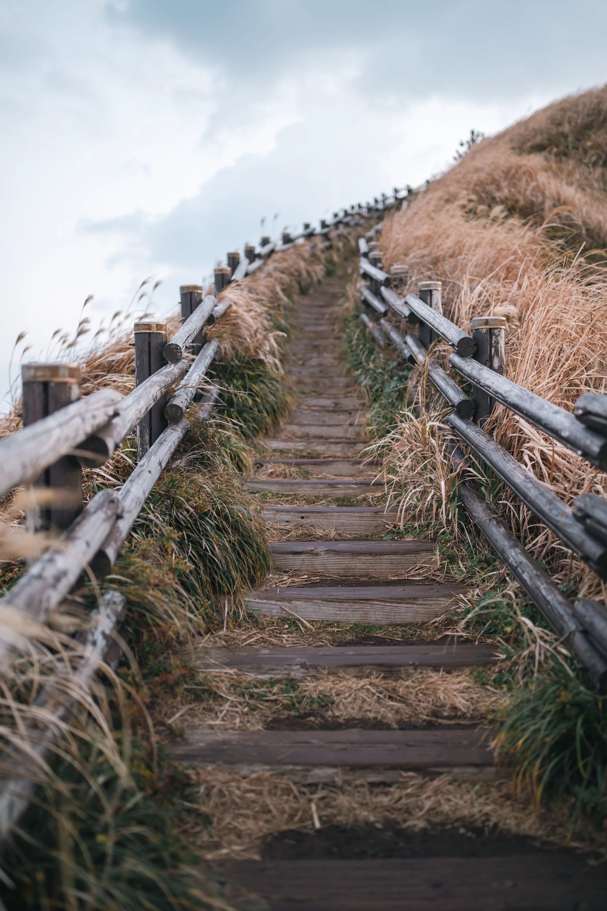 01 Watching sunrise 1.jpg