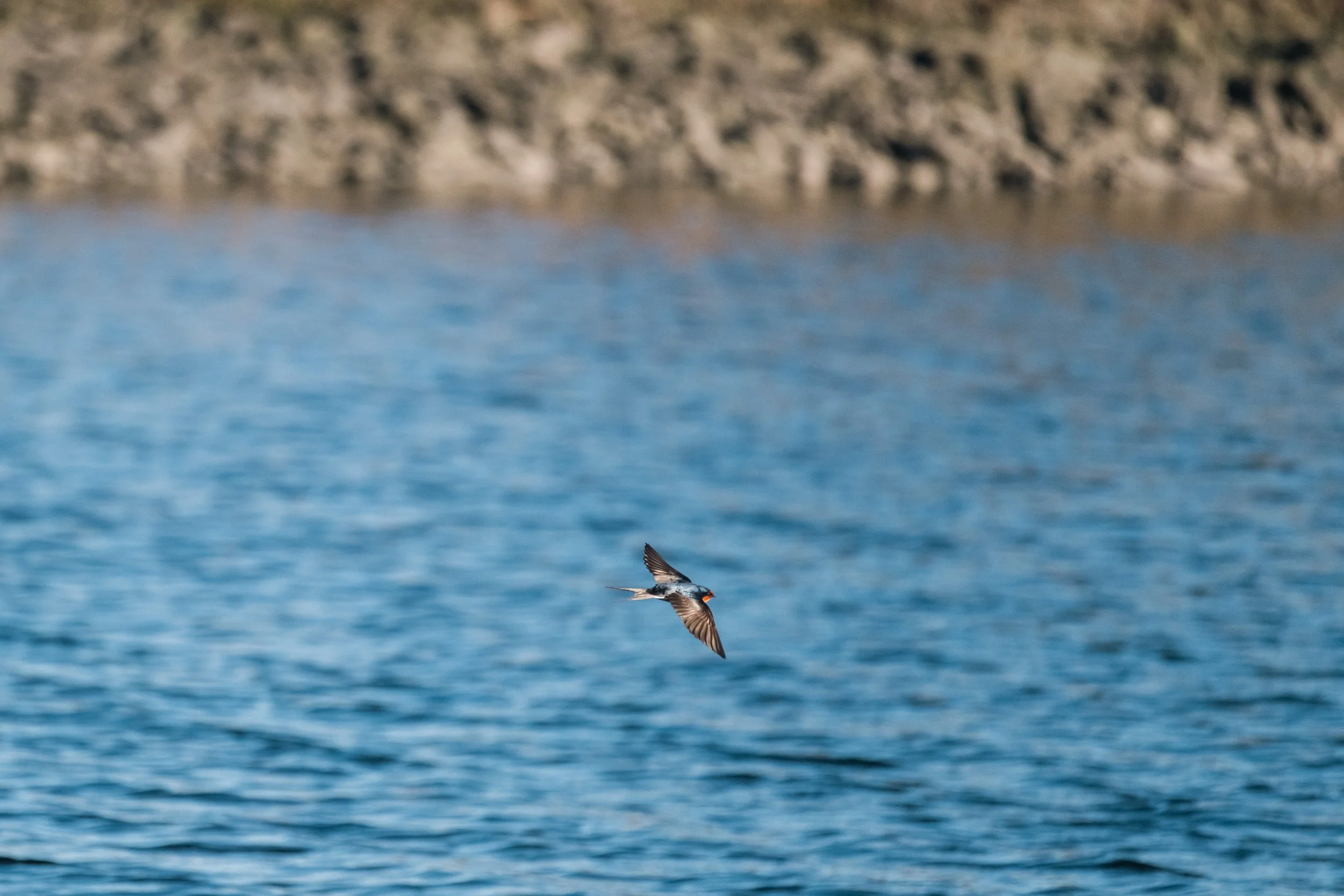 DSC_6112.jpg