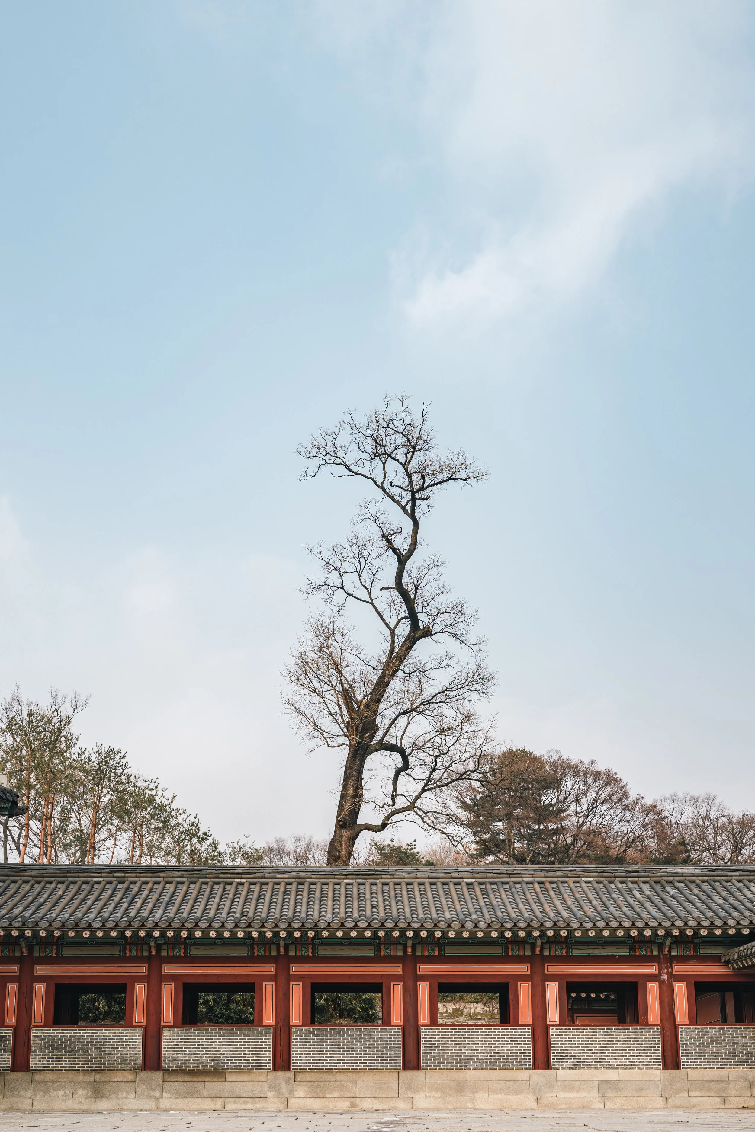 01 Visiting Changdeokgung Palace 28.jpg