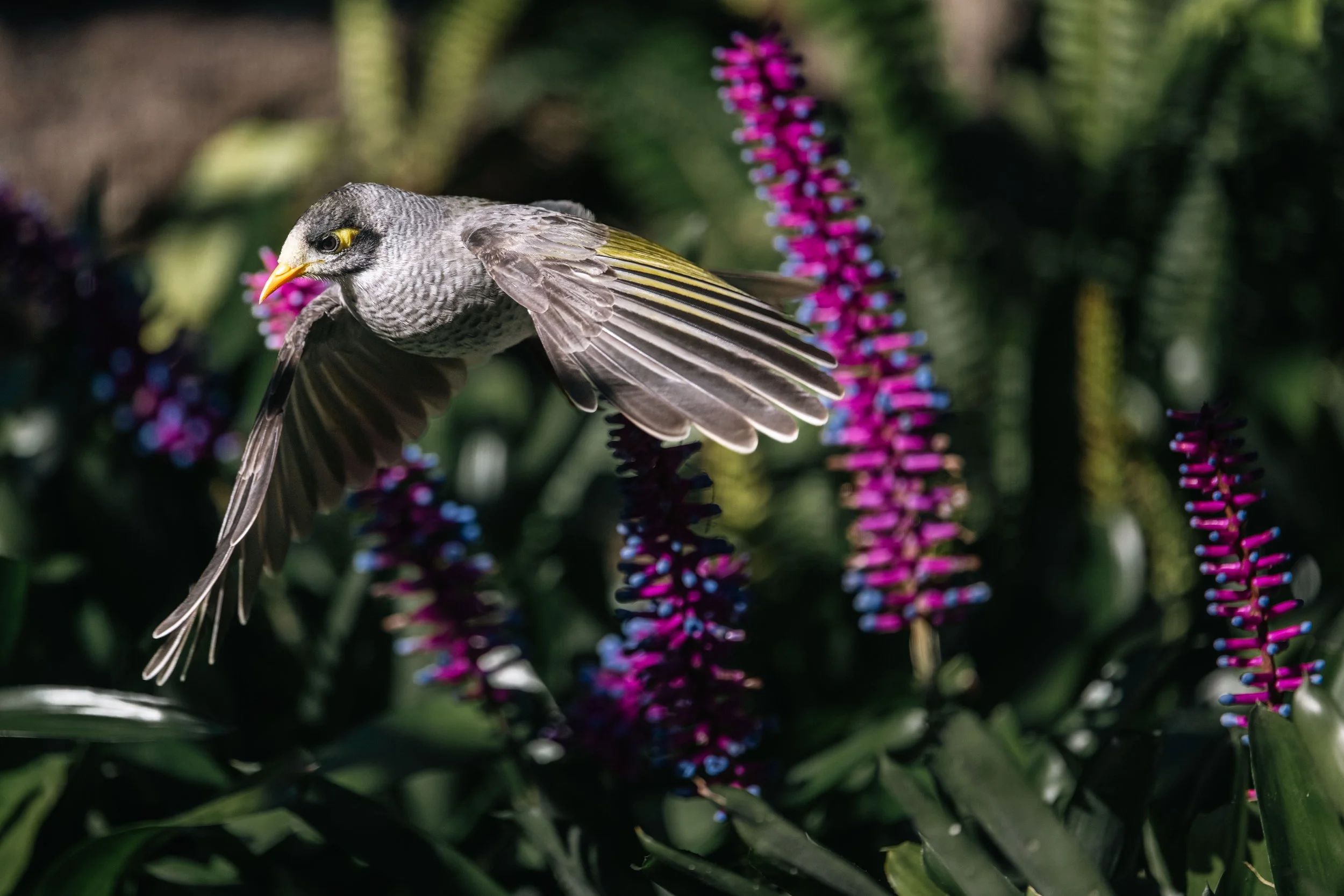 DSC_3174-2.jpg
