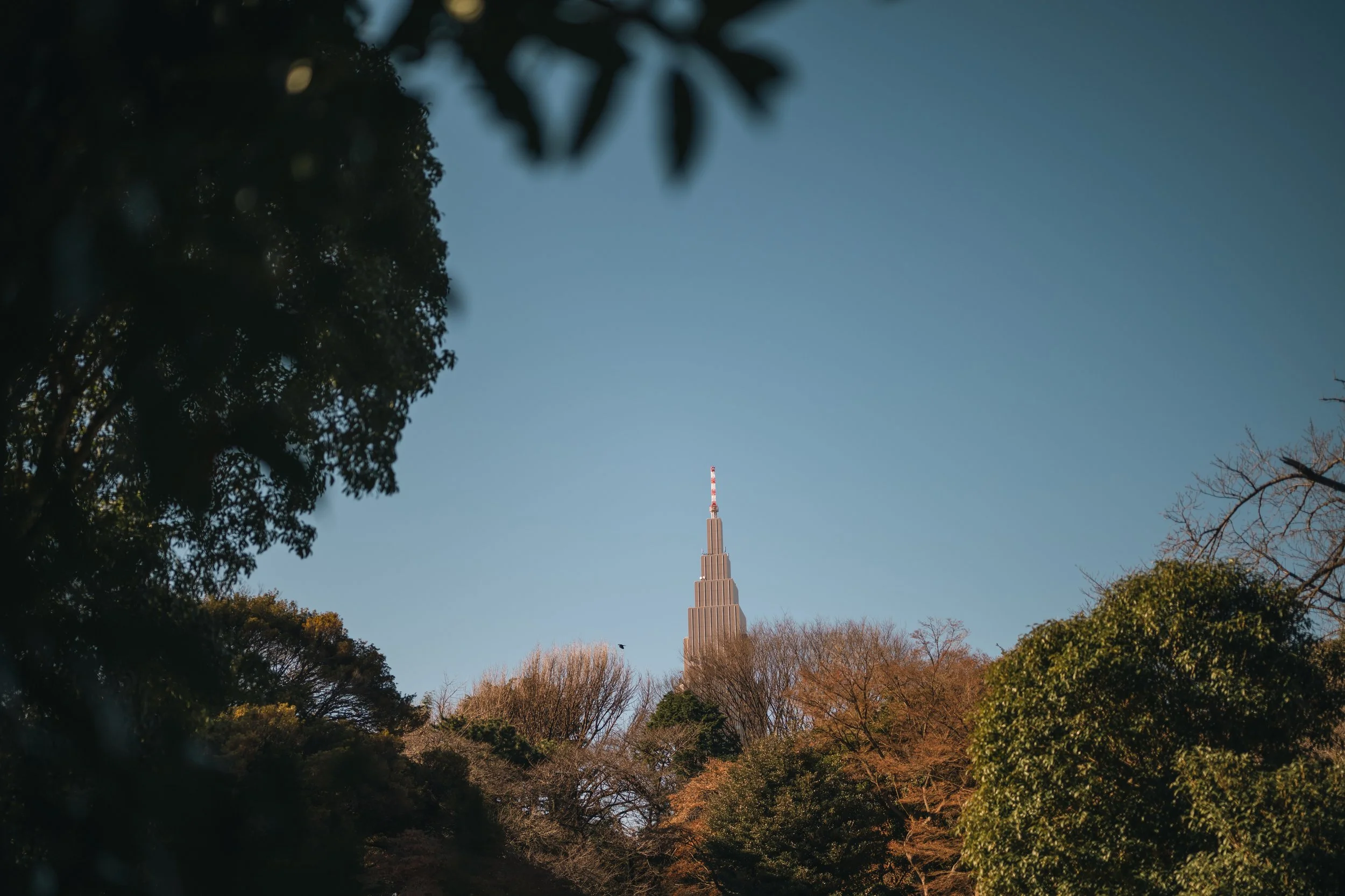 Visiting Shinjuku Gyeon National Garden 3.jpg