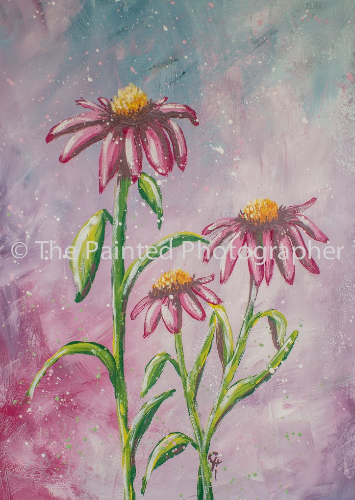 Ah! Coneflower (8x10)