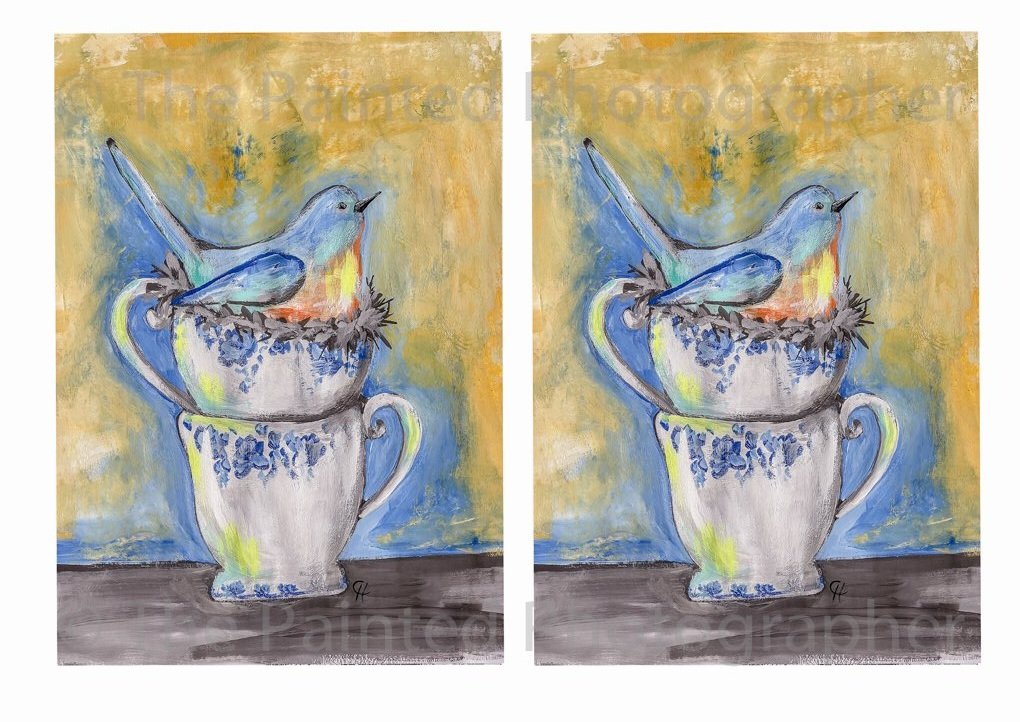 5x7_Bluebird_Nesting_Final-11-11.jpg