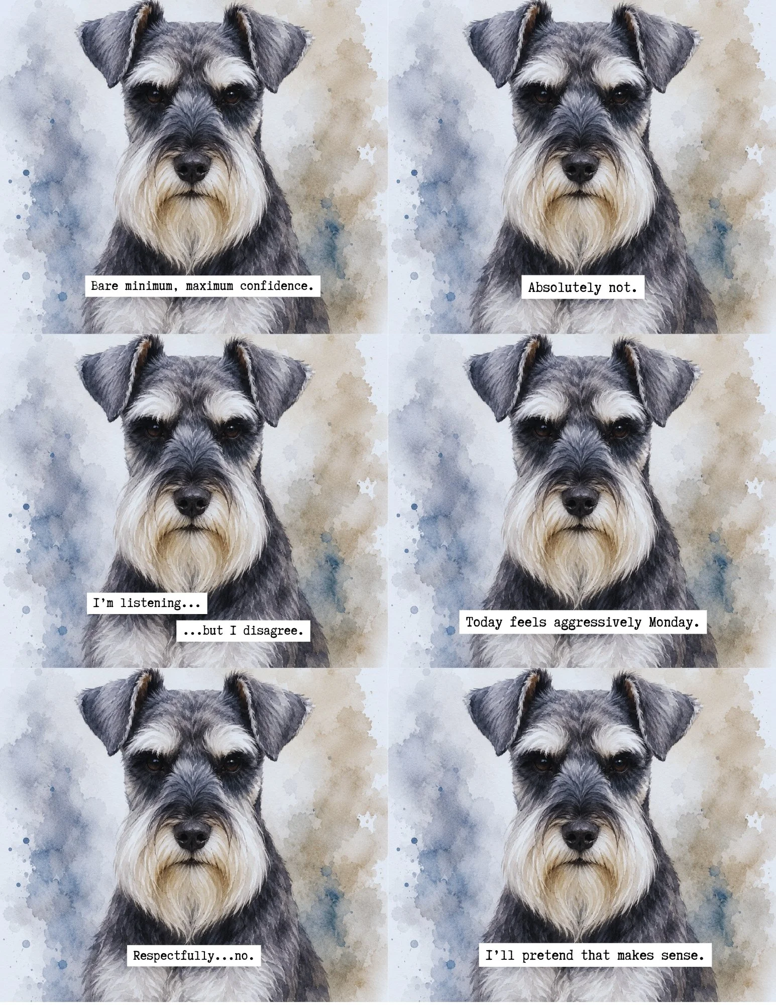 Miniature Schnauzer.jpg