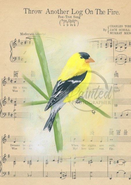 Finch Music Sheet (8x10)