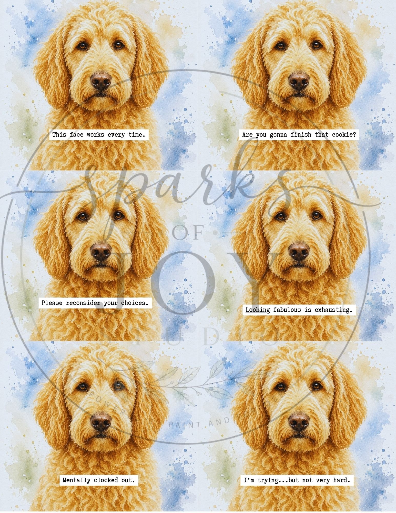 Goldendoodle-6