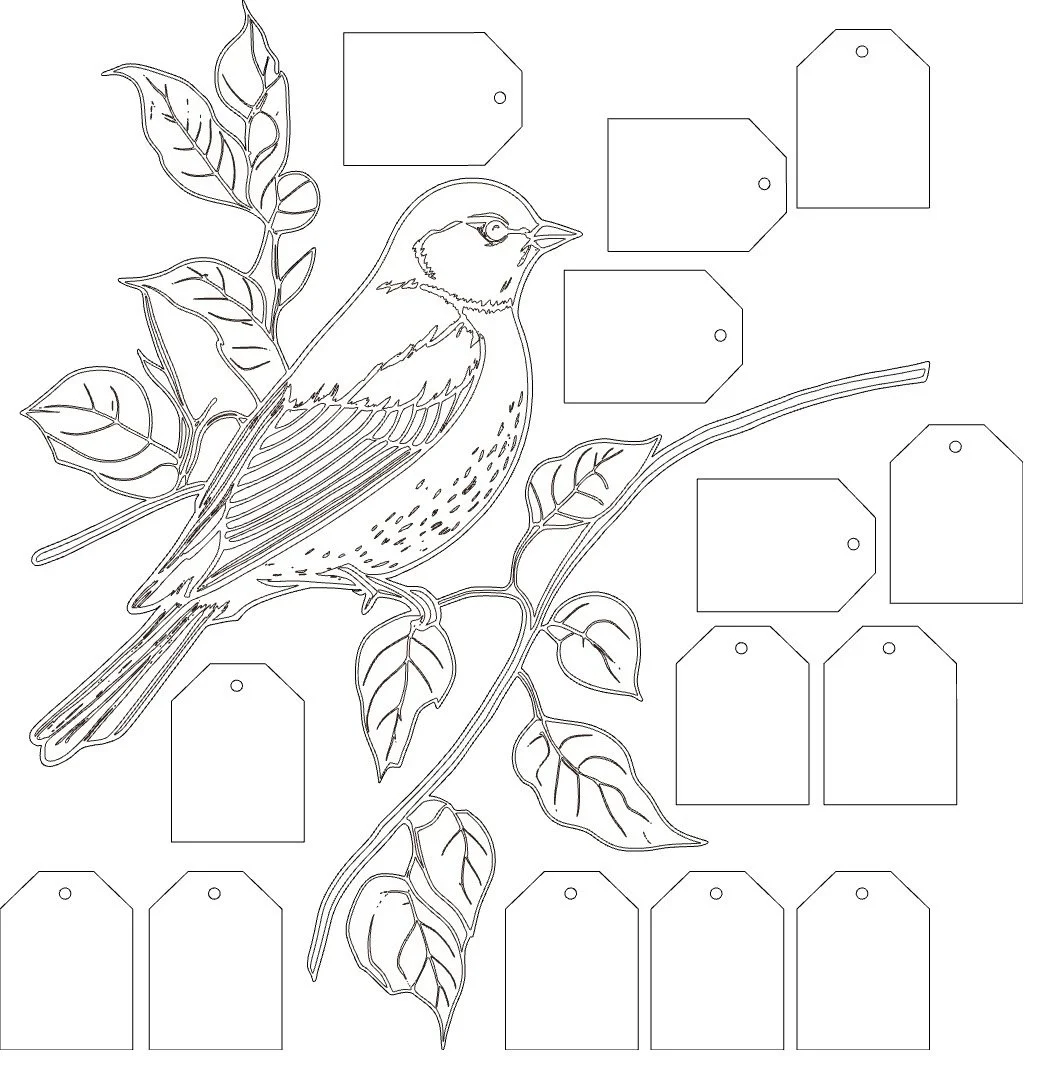 bird.jpeg