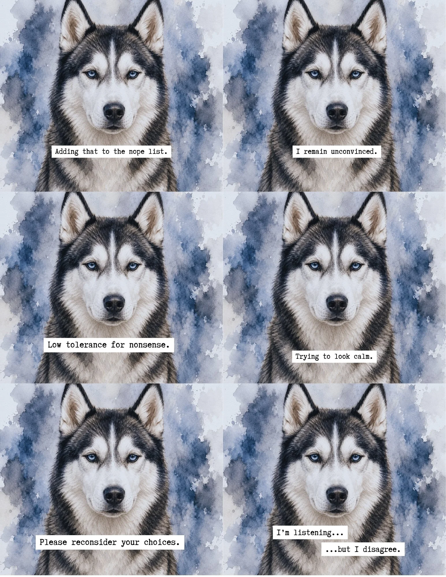 Siberian Husky.jpg