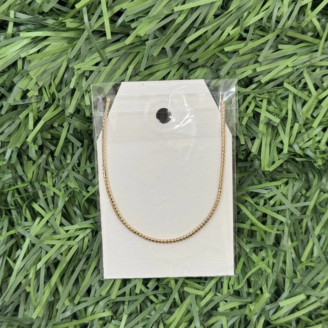 IMG_5297 Large.jpeg (Copy) (Copy) (Copy)