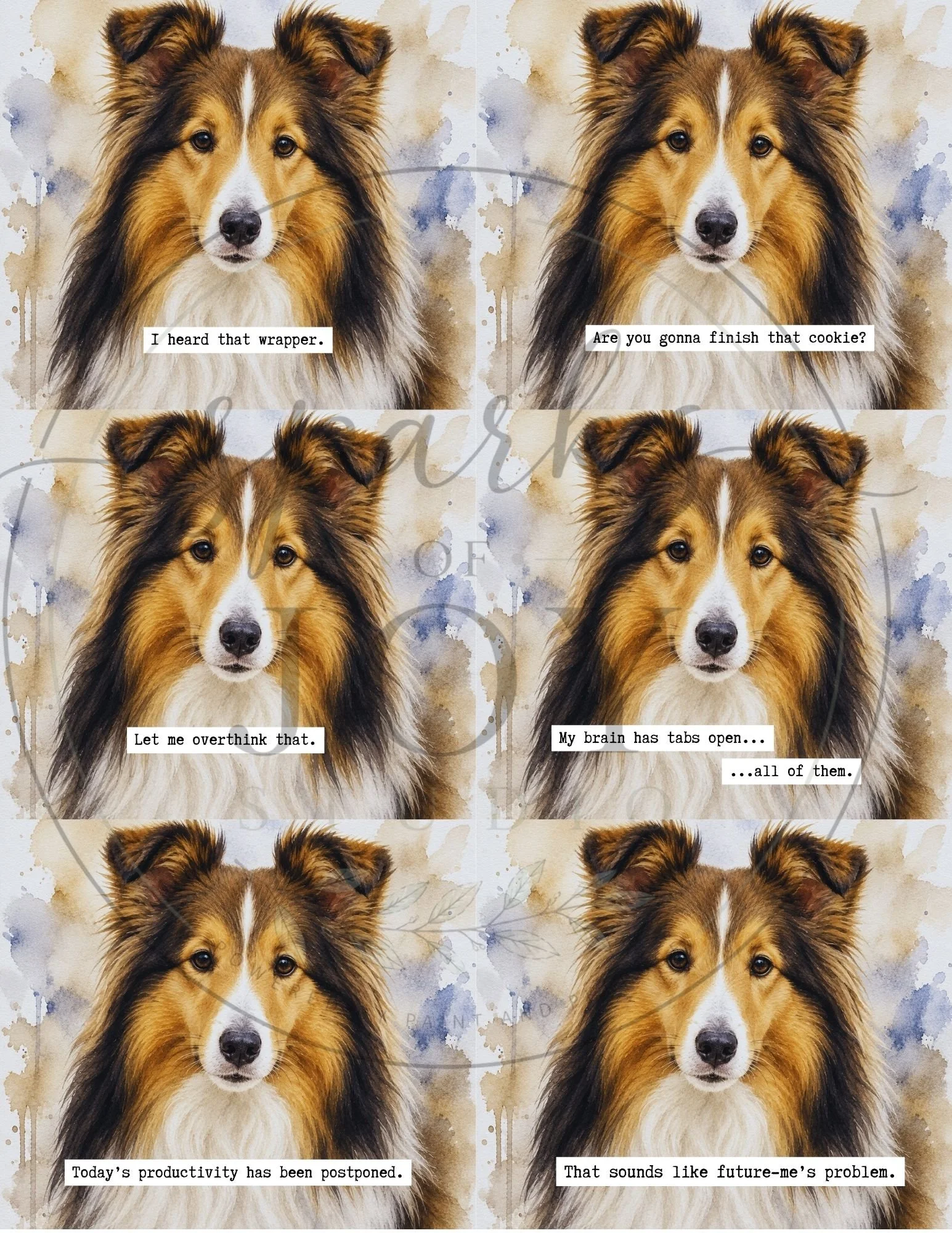 Sheltie-6
