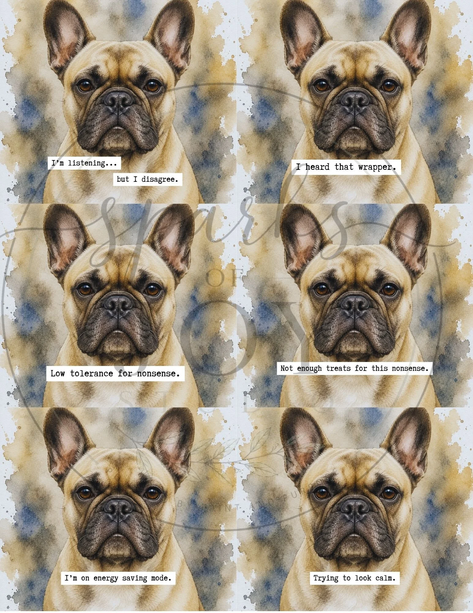 French Bulldog-6