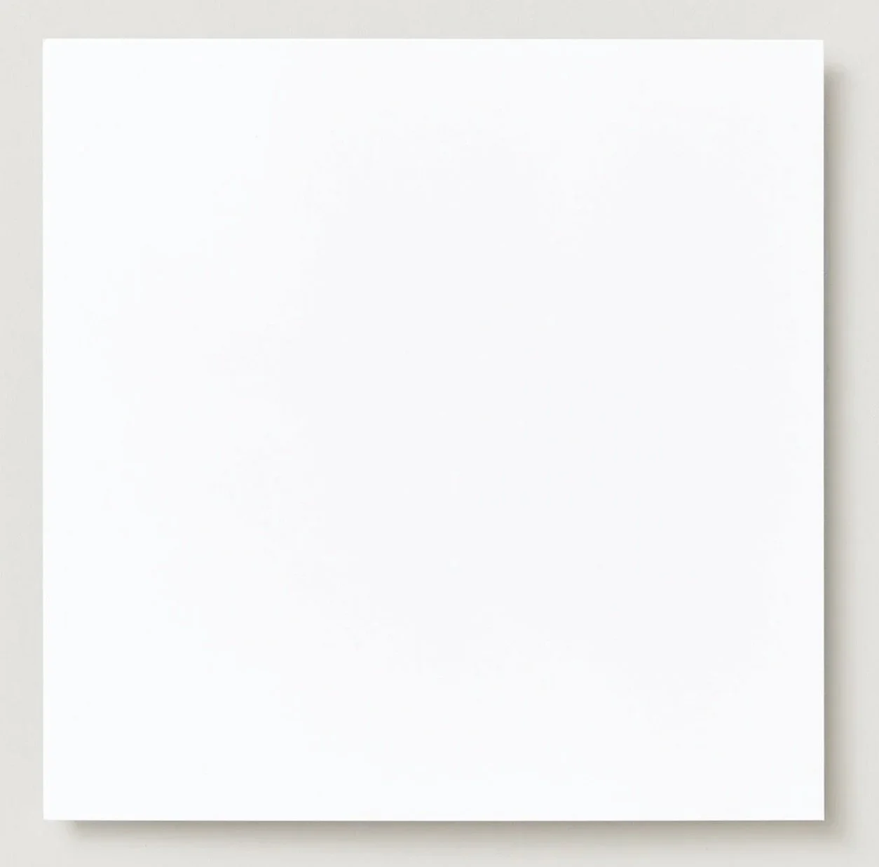 back.jpeg (Copy) (Copy) (Copy) (Copy)