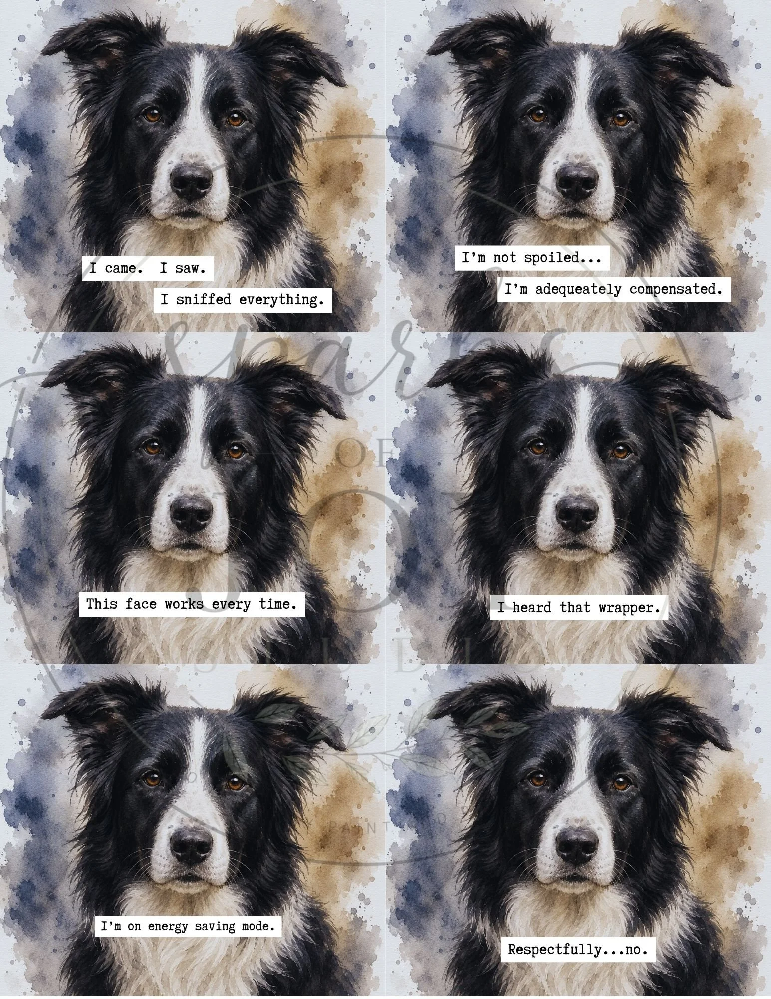 *digital download* Border Collie
