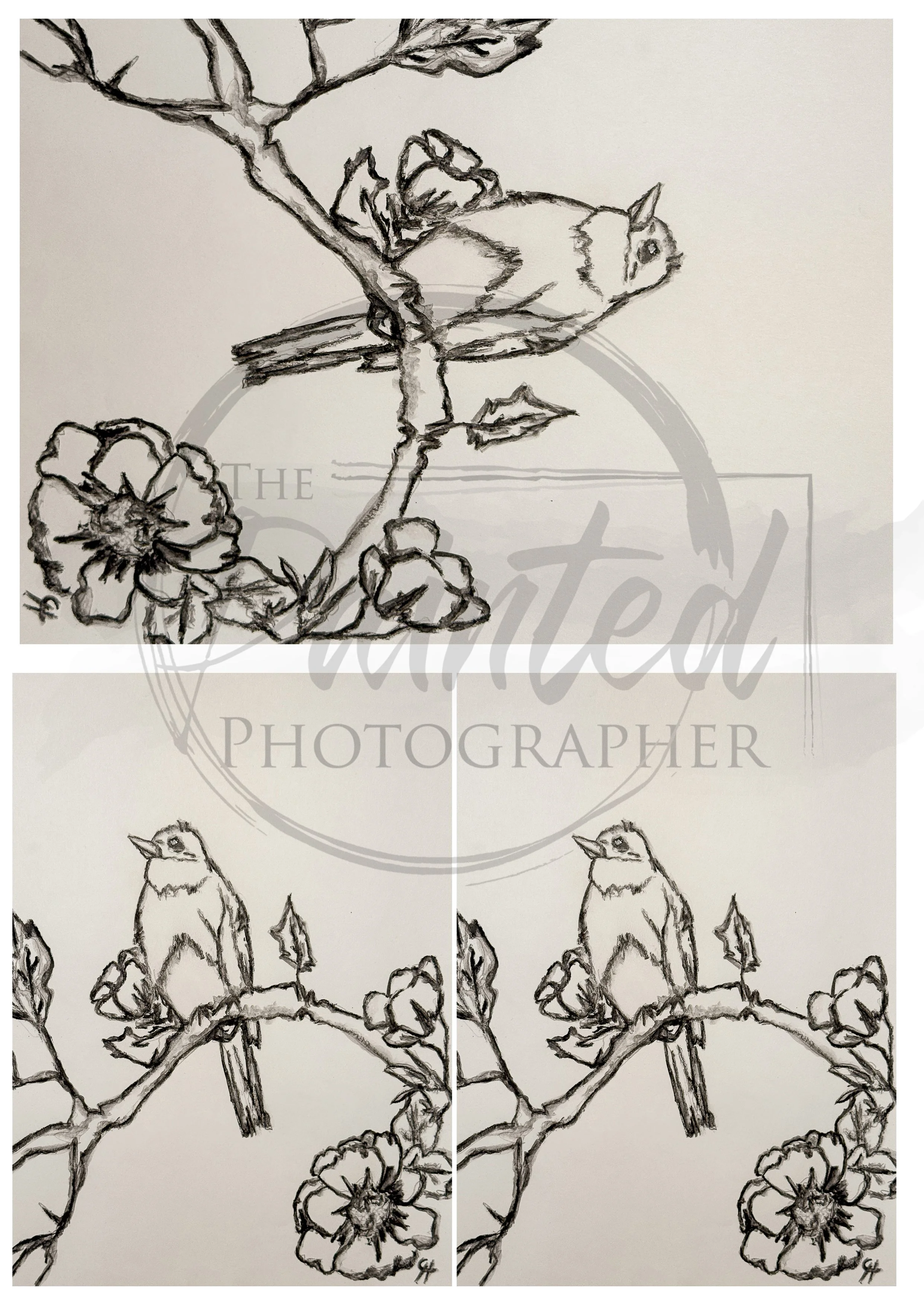 Whispering Spring No Color (Multiple)