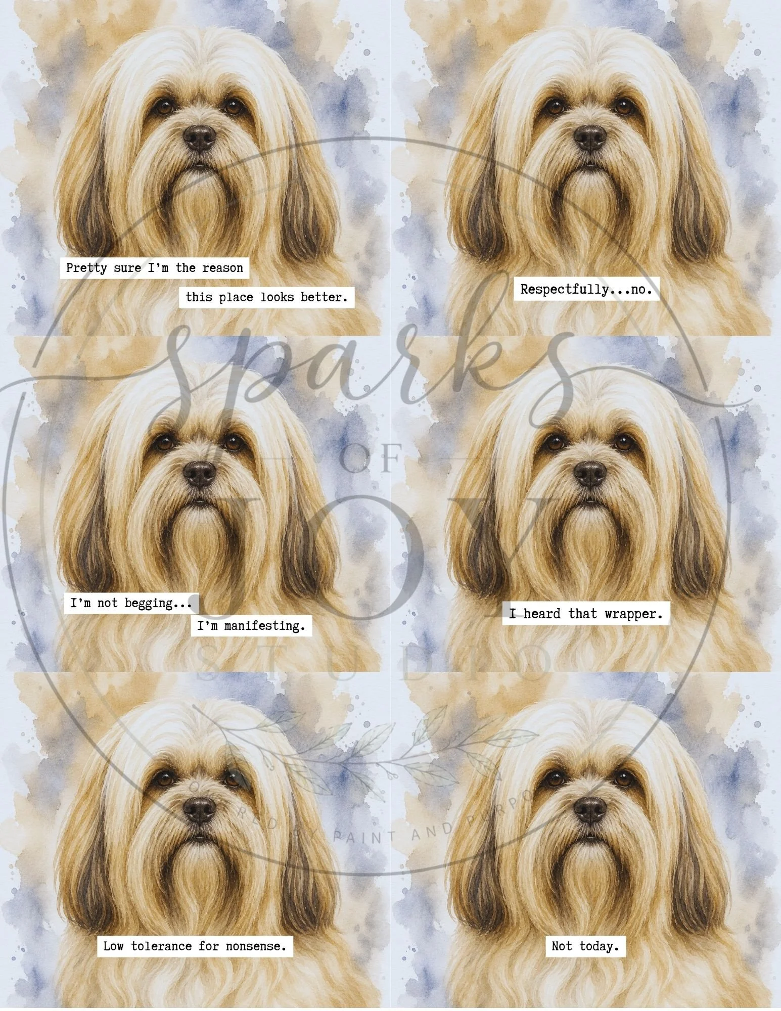 Lhasa Aspo-6