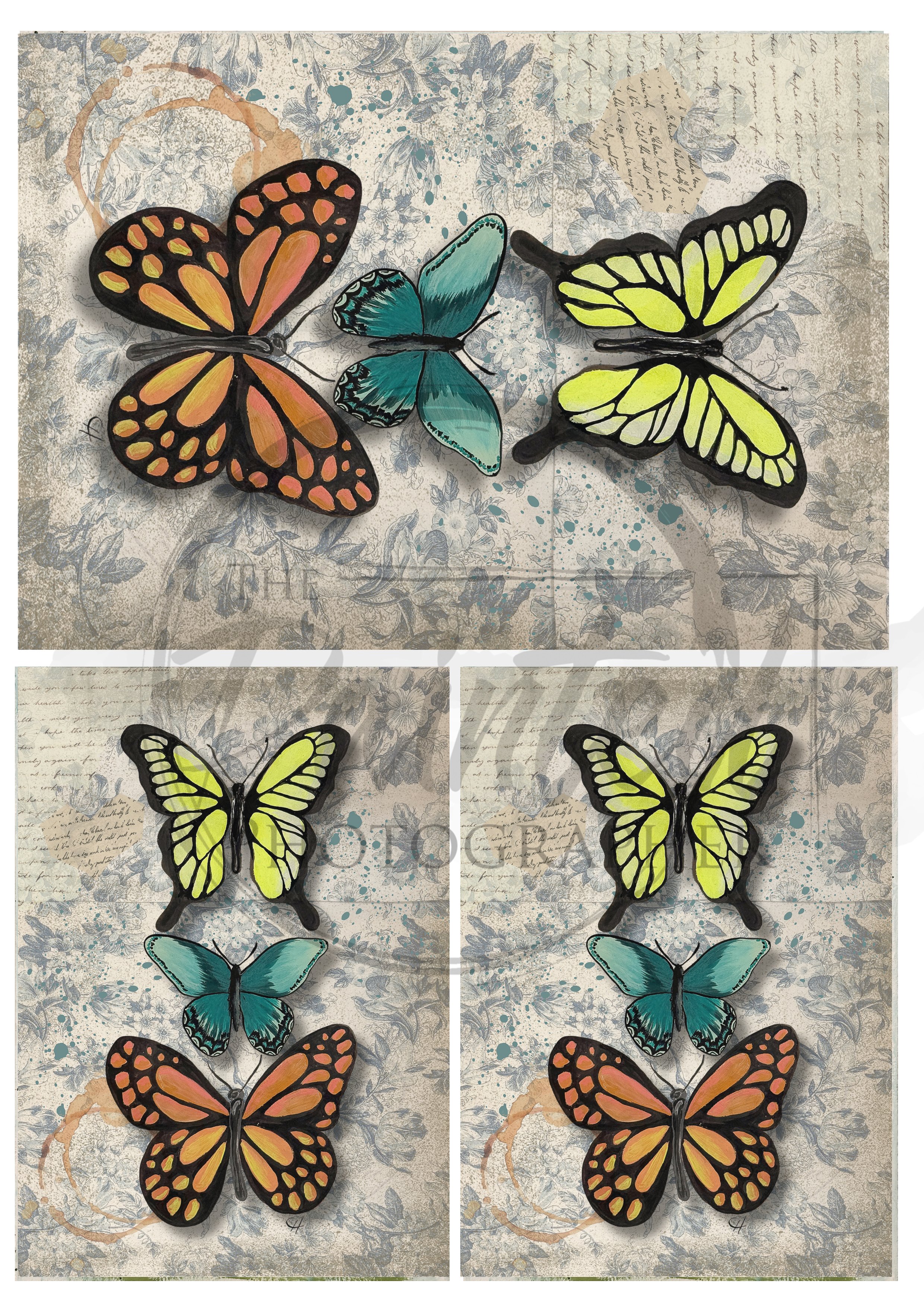 Butterfly Trio (Multiple)