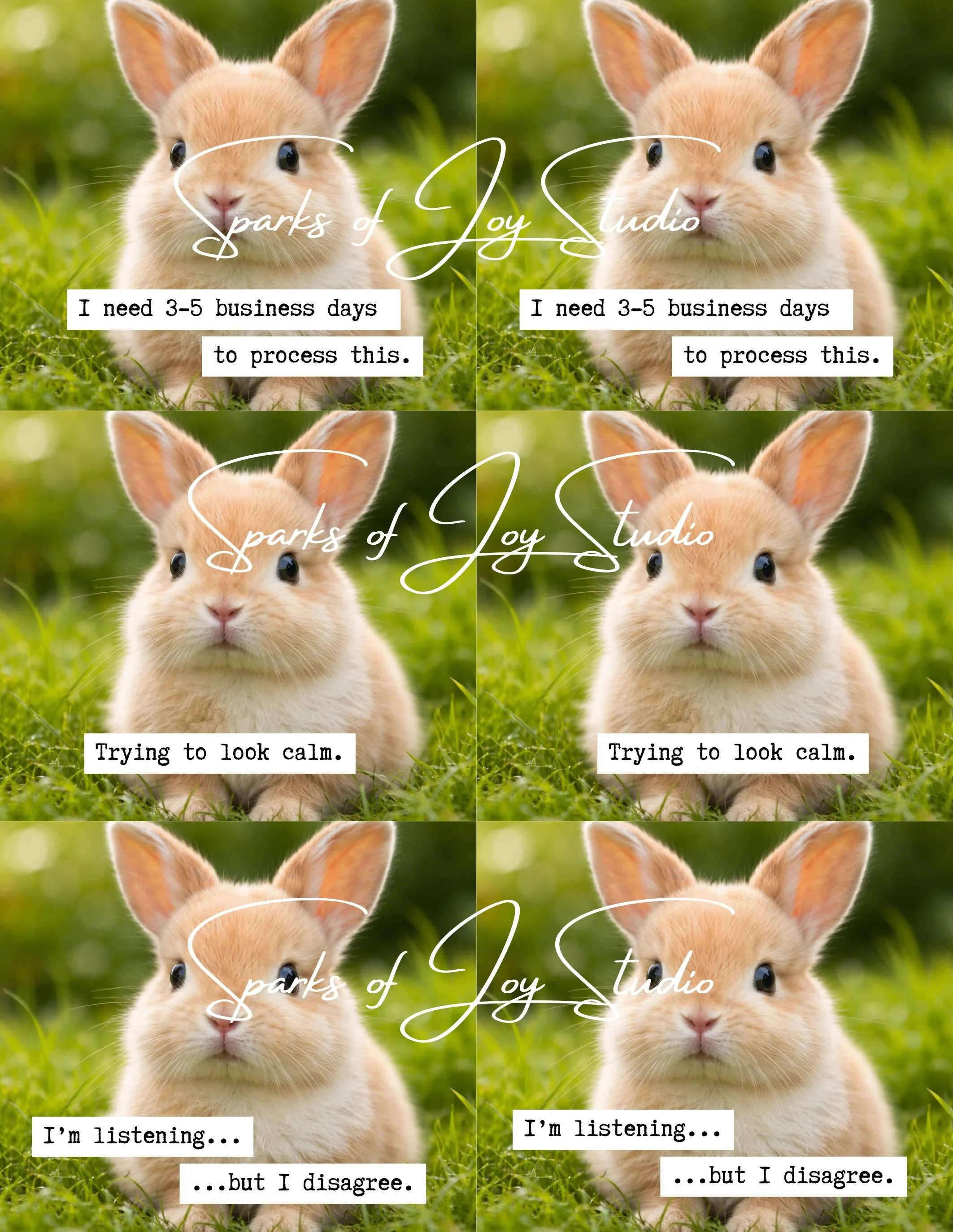 6-Bunny {prints 6 images with text)