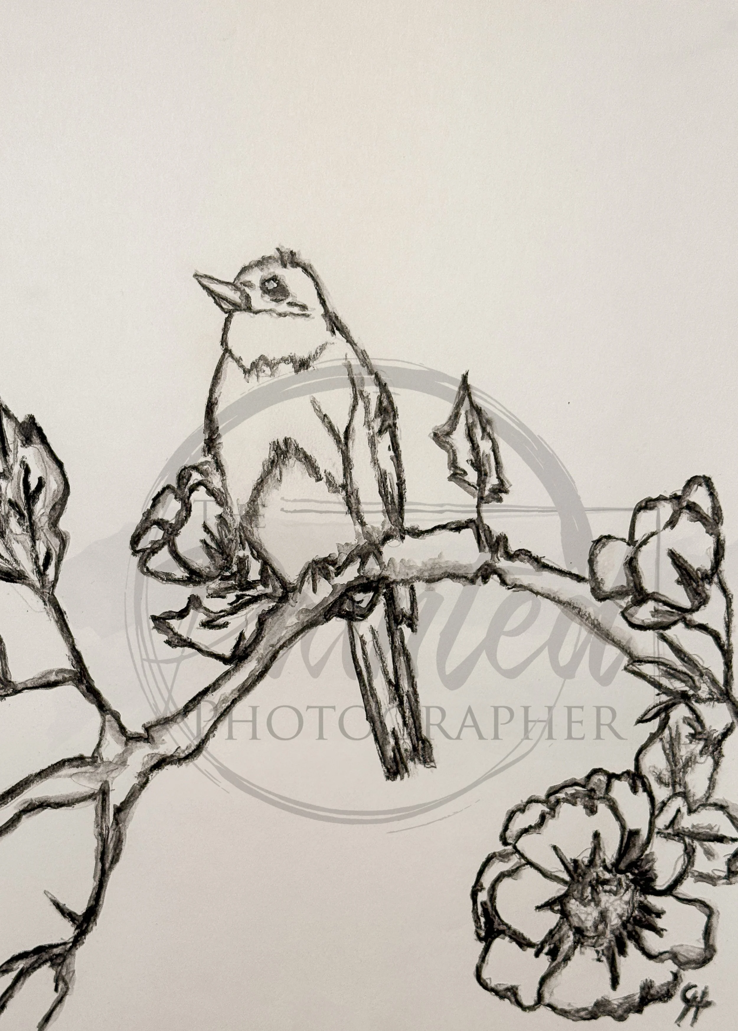 Whispering Spring No Color (8x10)