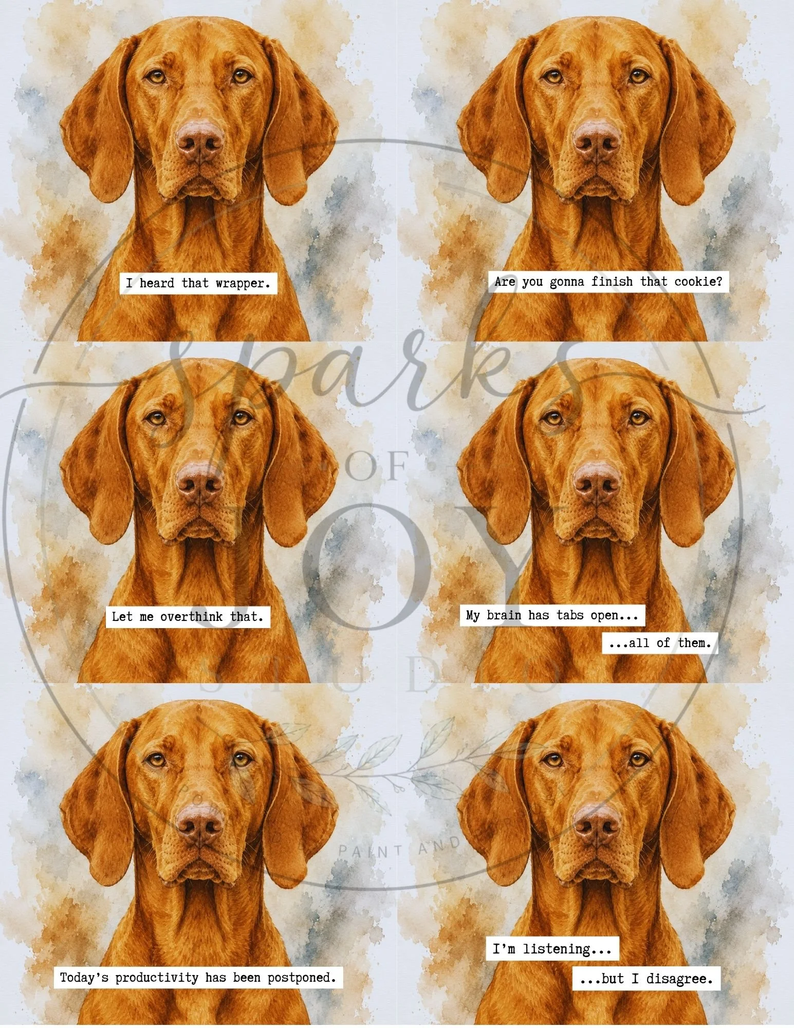 Vizsla-6