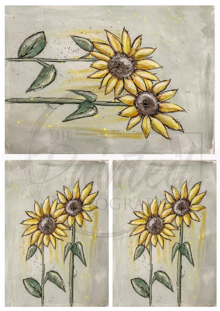 Twin Sunflowers (Multiple)