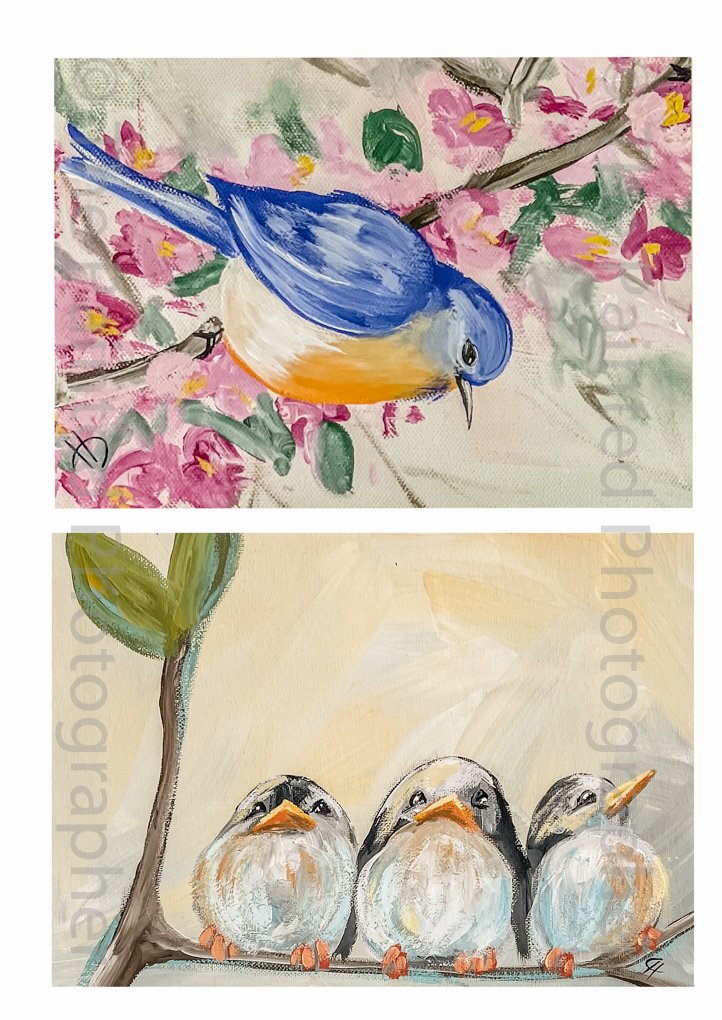 5x7 Birds