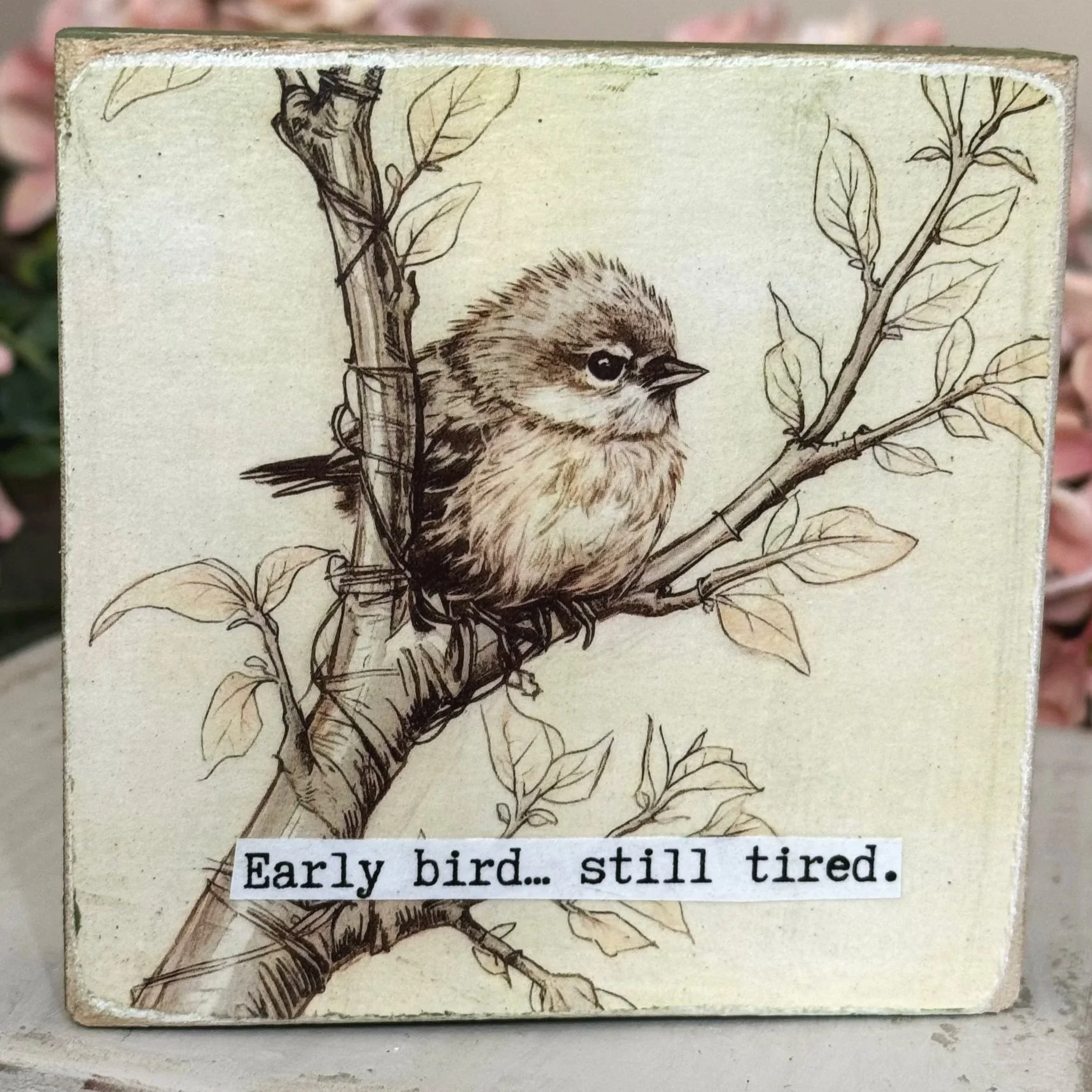 Funny Spring 4x4" Wood Shelf Sitters | Decor Gift for Teachers, Coworkers & Moms