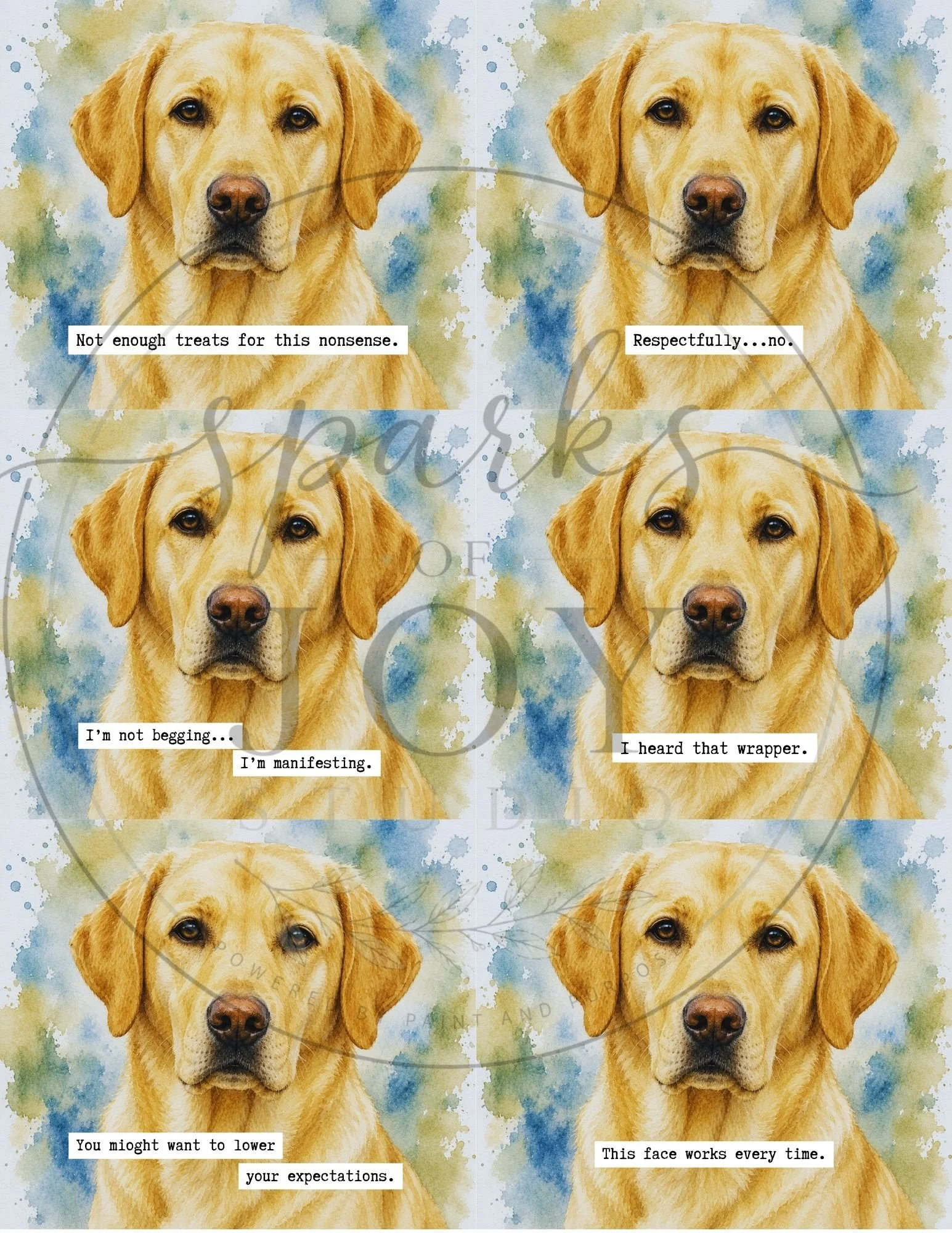 Yellow Lab-6