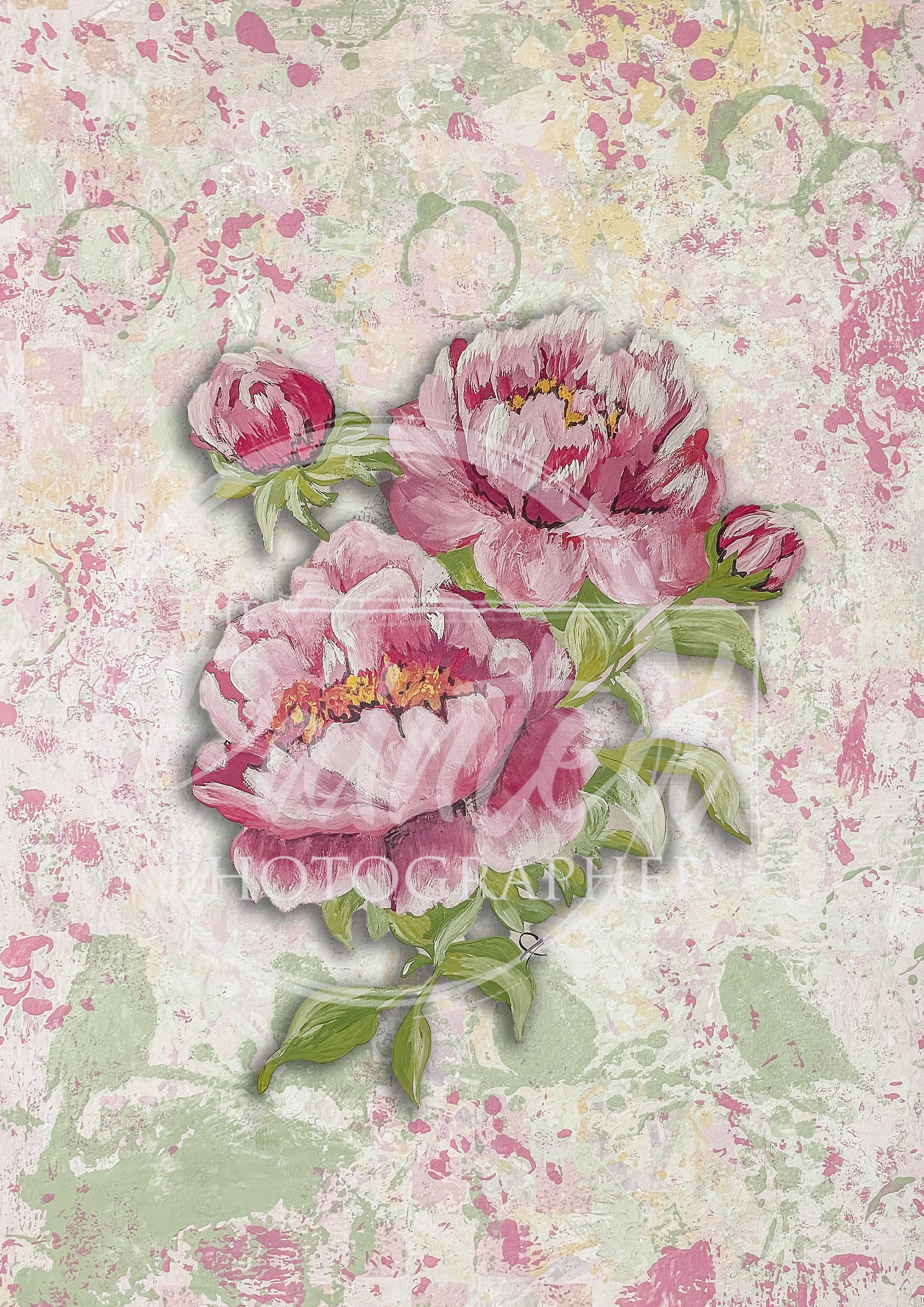 Peony with Background_Copyright.jpg
