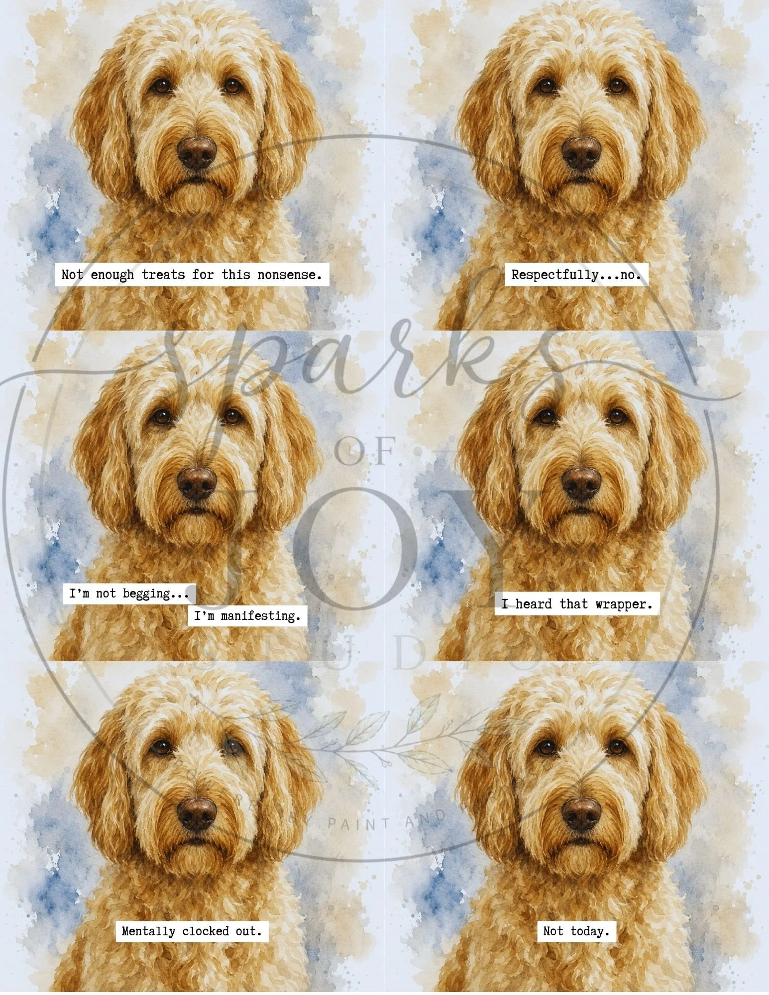Labradoodle-6