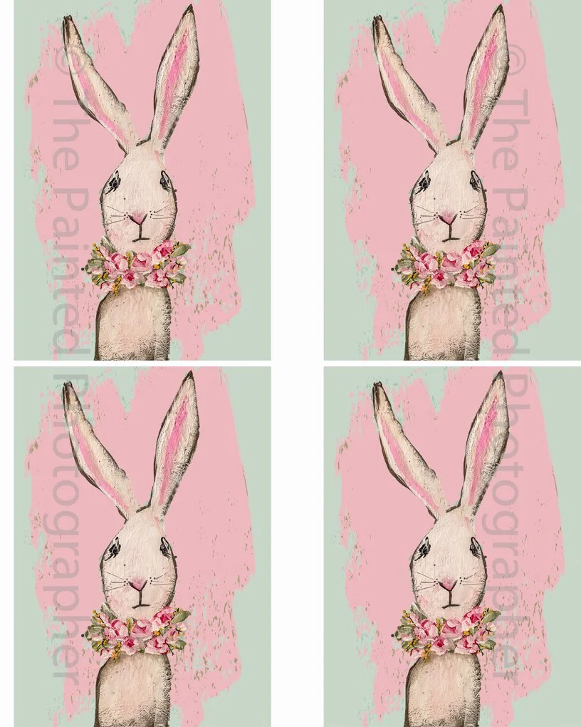 3x5 Pink AliRose