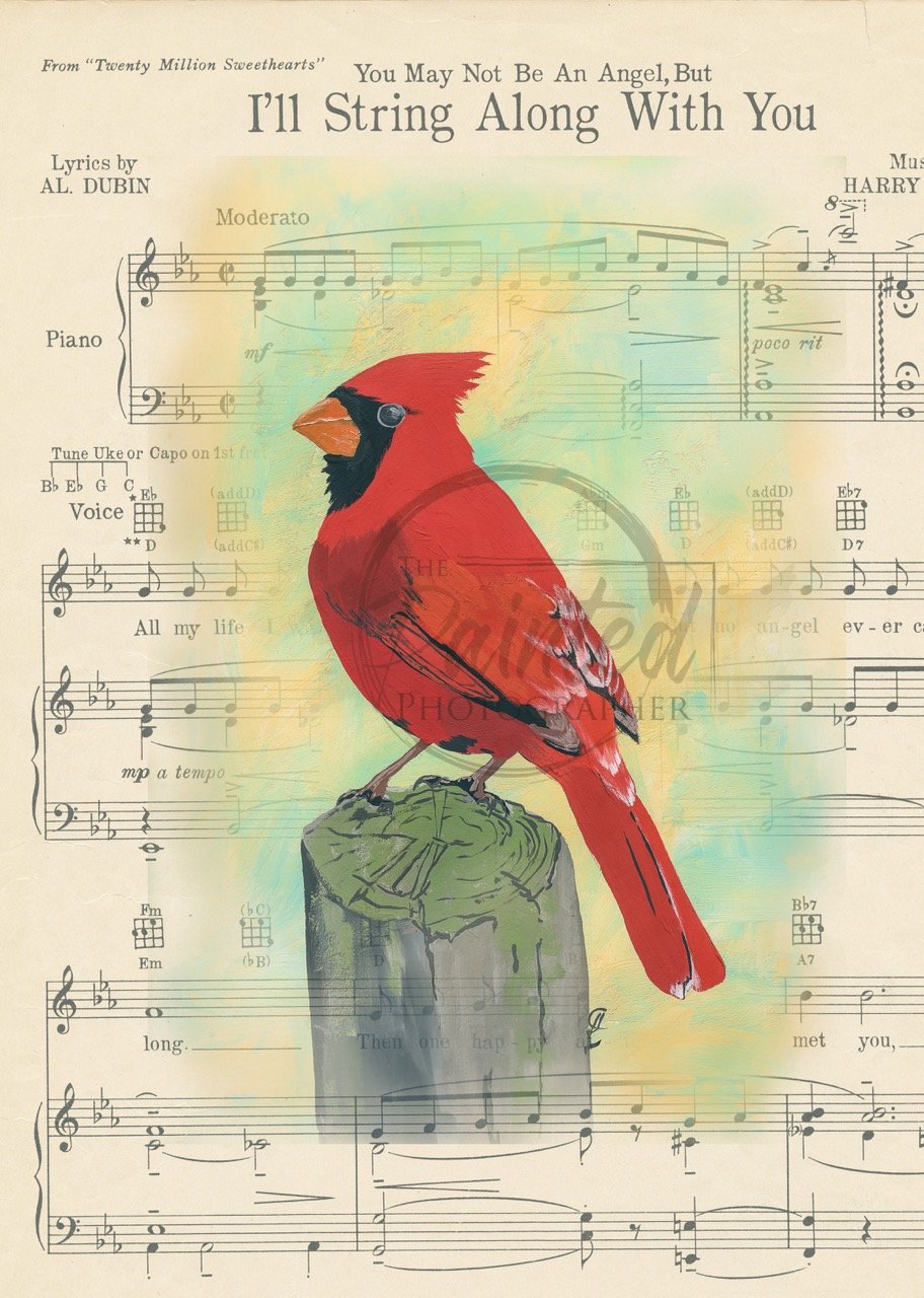 Cardinal with Music Large.jpeg