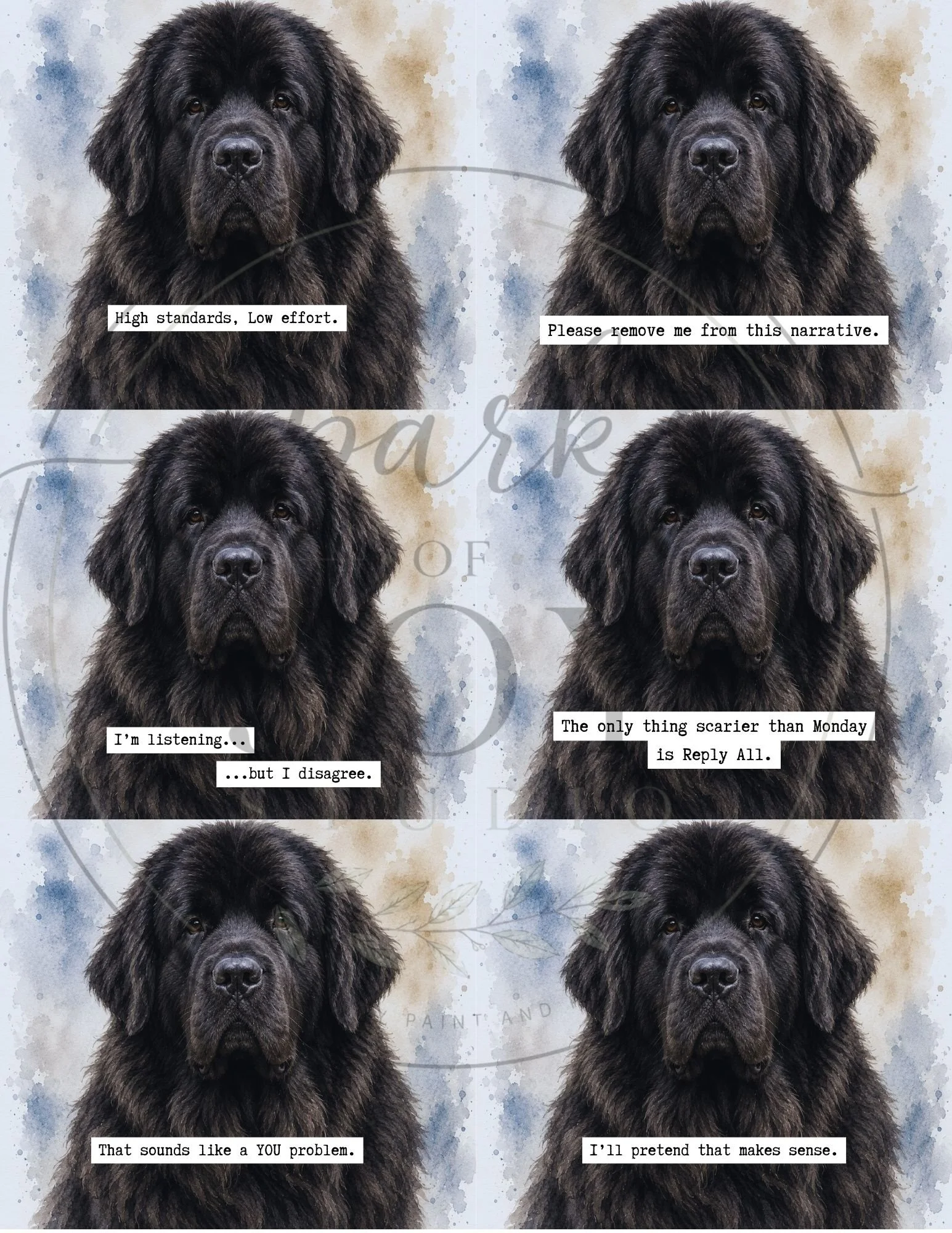 Newfoundland-6