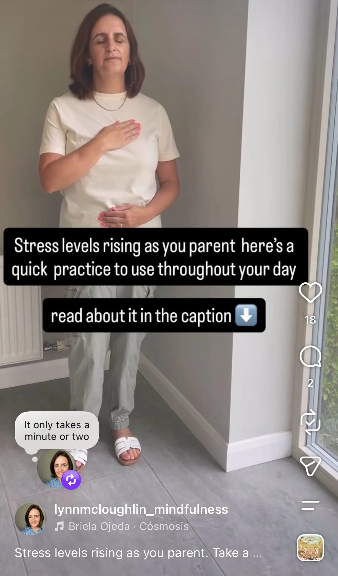 The stop practice to help stressed and overwhelmed parents