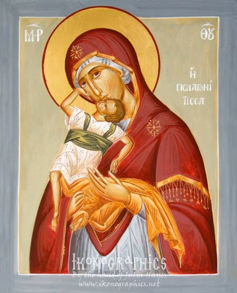 Theotokos Pelagonitissa 20x25cm 2012