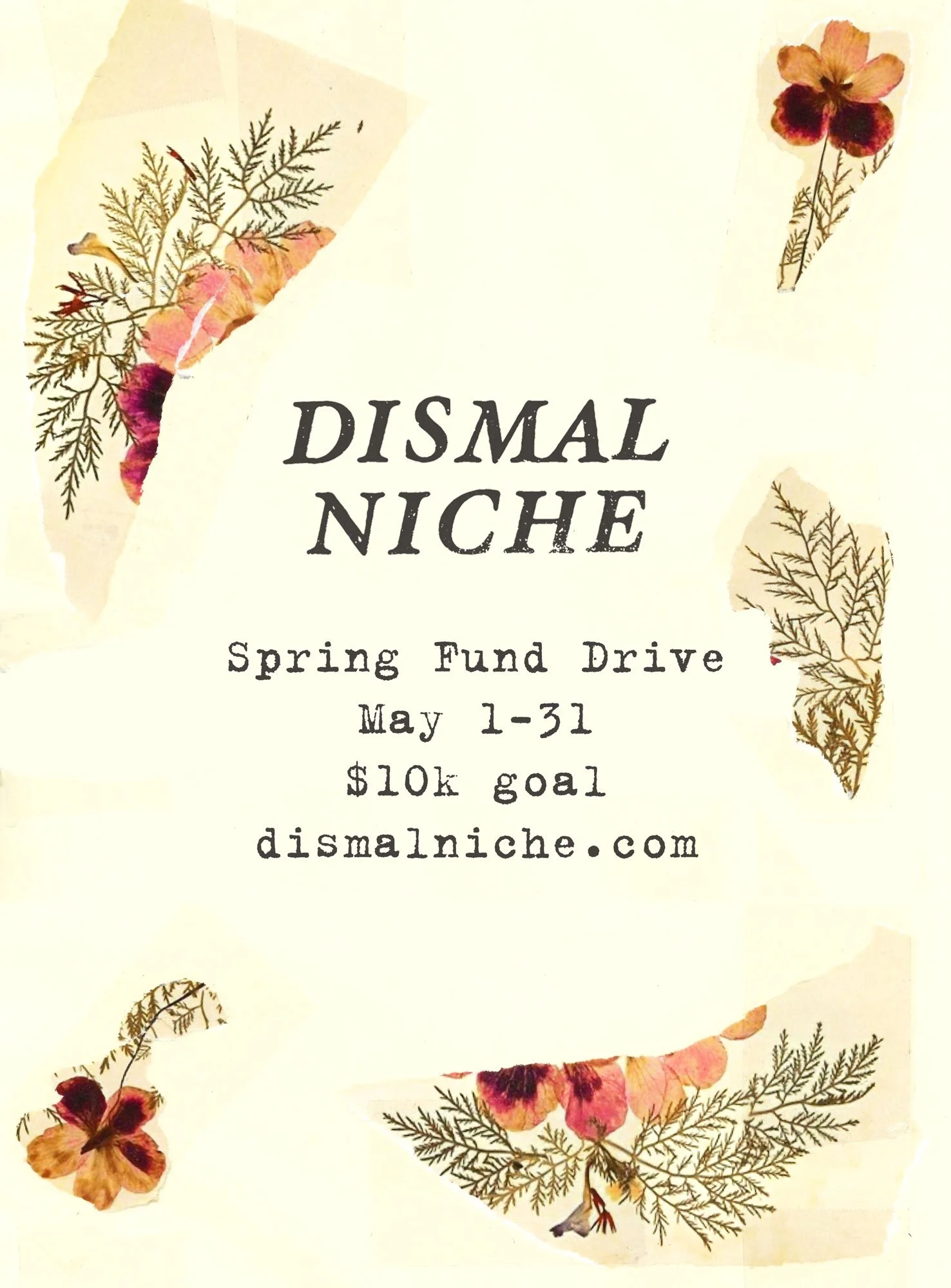 Dismal Niche Spring Fund Drive!