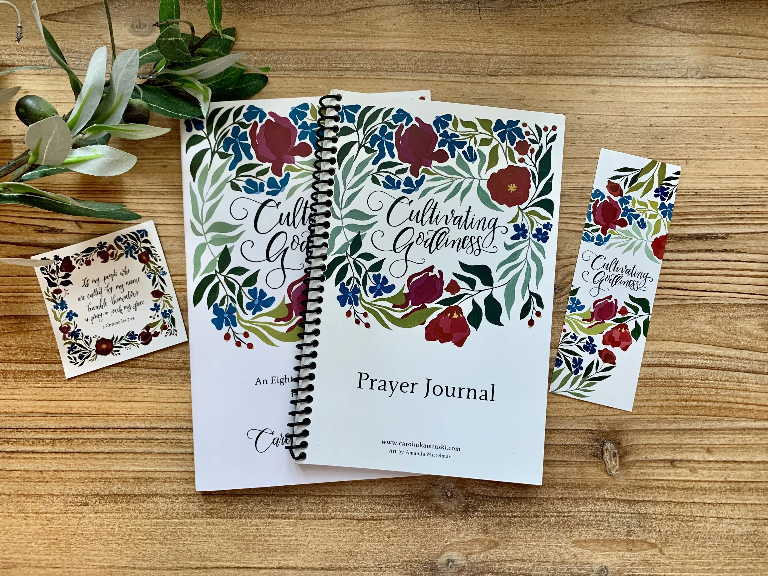 Cultivating Godliness Bible Study Bundle (retail $28.00): SALE $19.00