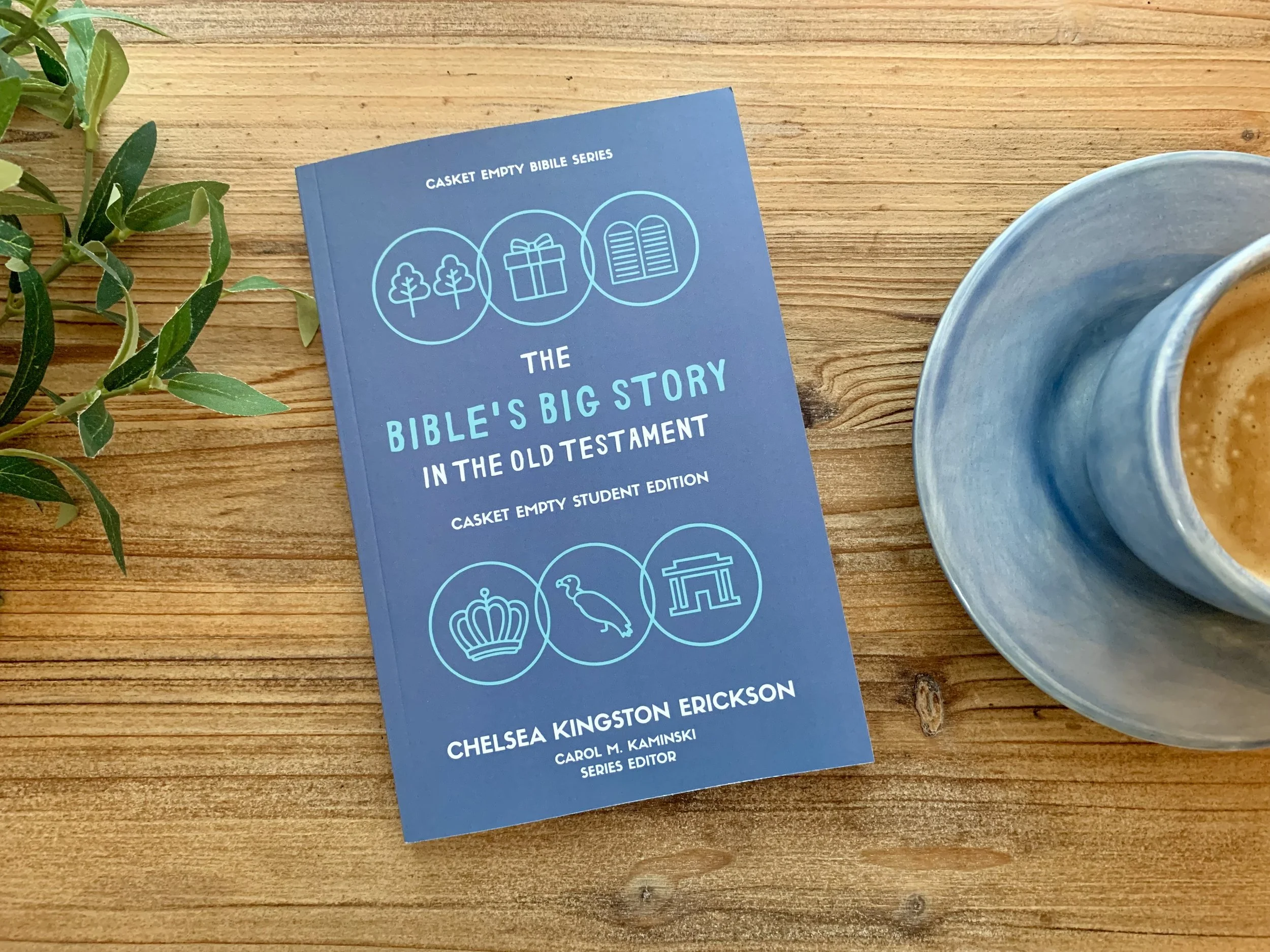 The Bible’s Big Story in the Old Testament $14.95