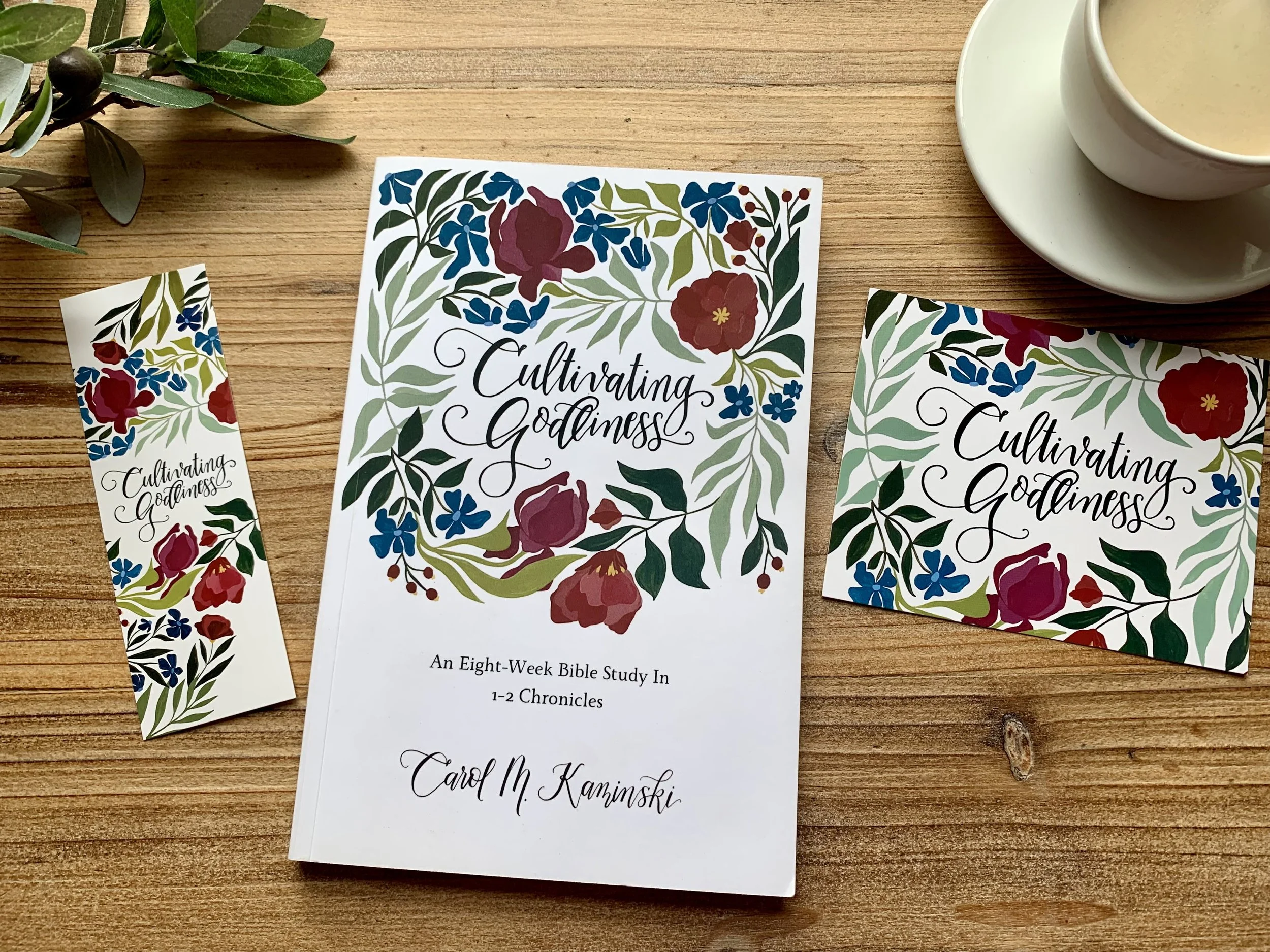 Chronicles Bible Study with cards CK.jpg